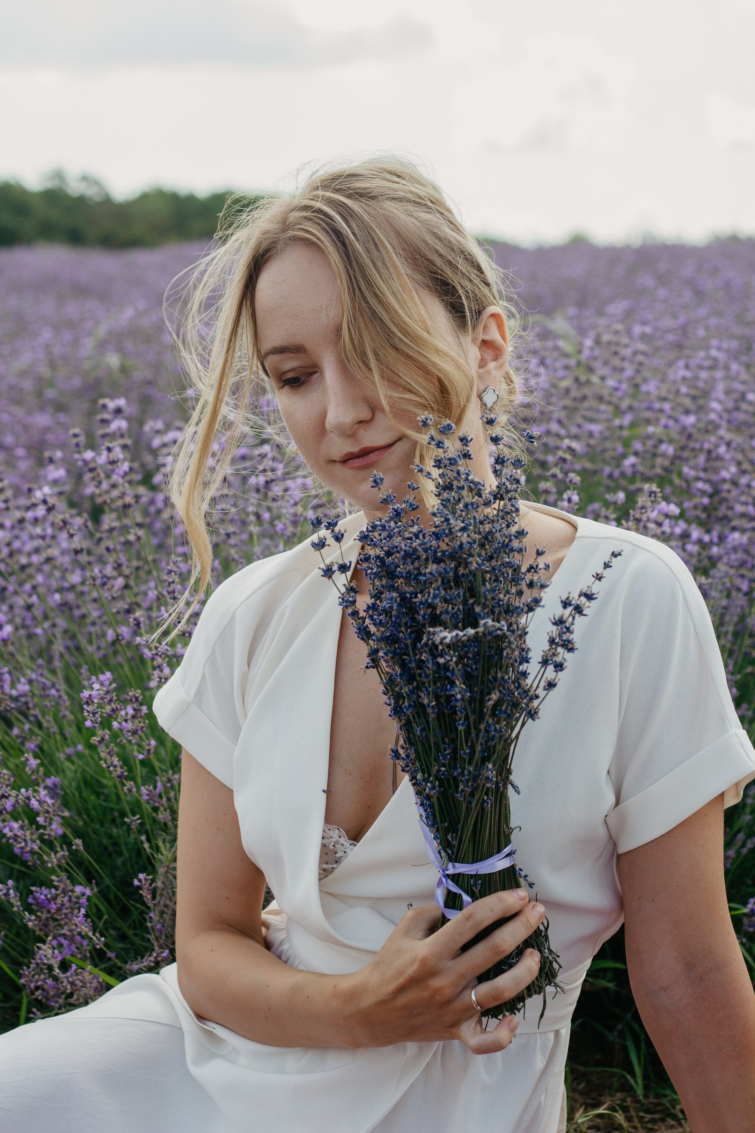 Лаванда. Главная