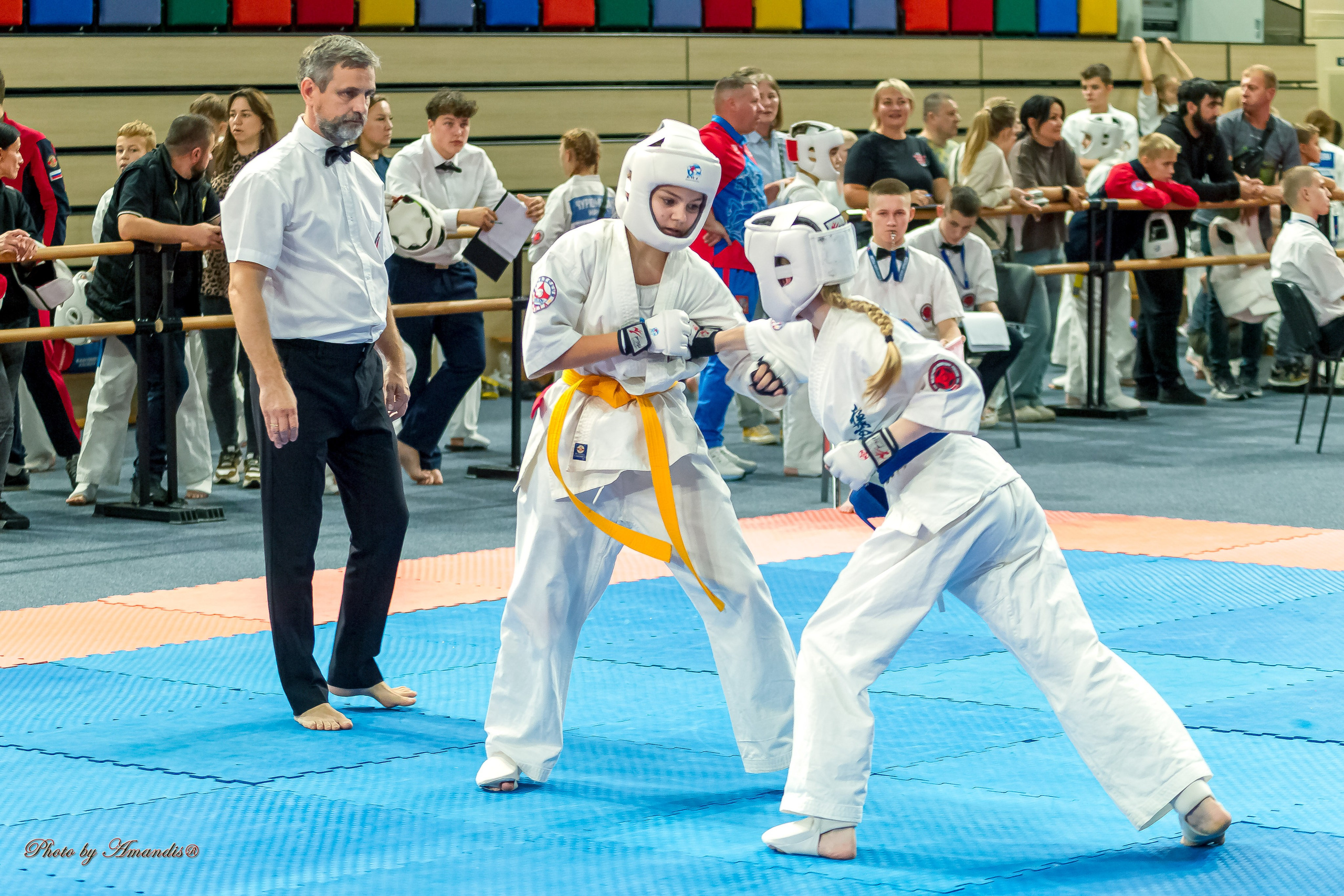 Первенство Московской области по Киокушин в СК «Жаворонки». Репортажная съемка в Москве и области. Анималистика