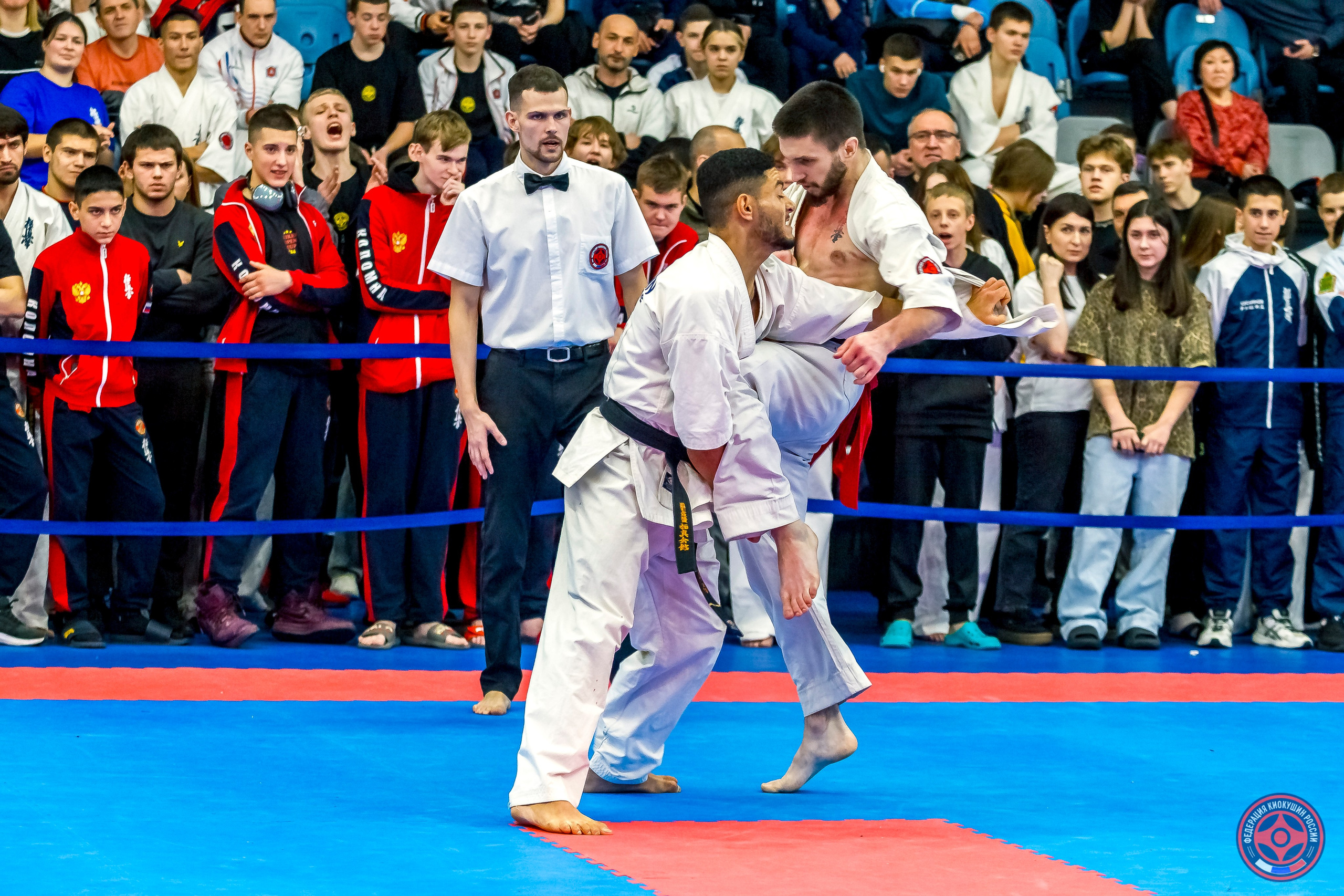 Международный турнир по киокушин «Открытый кубок Seiken». Репортажная съемка в Москве и области. Анималистика