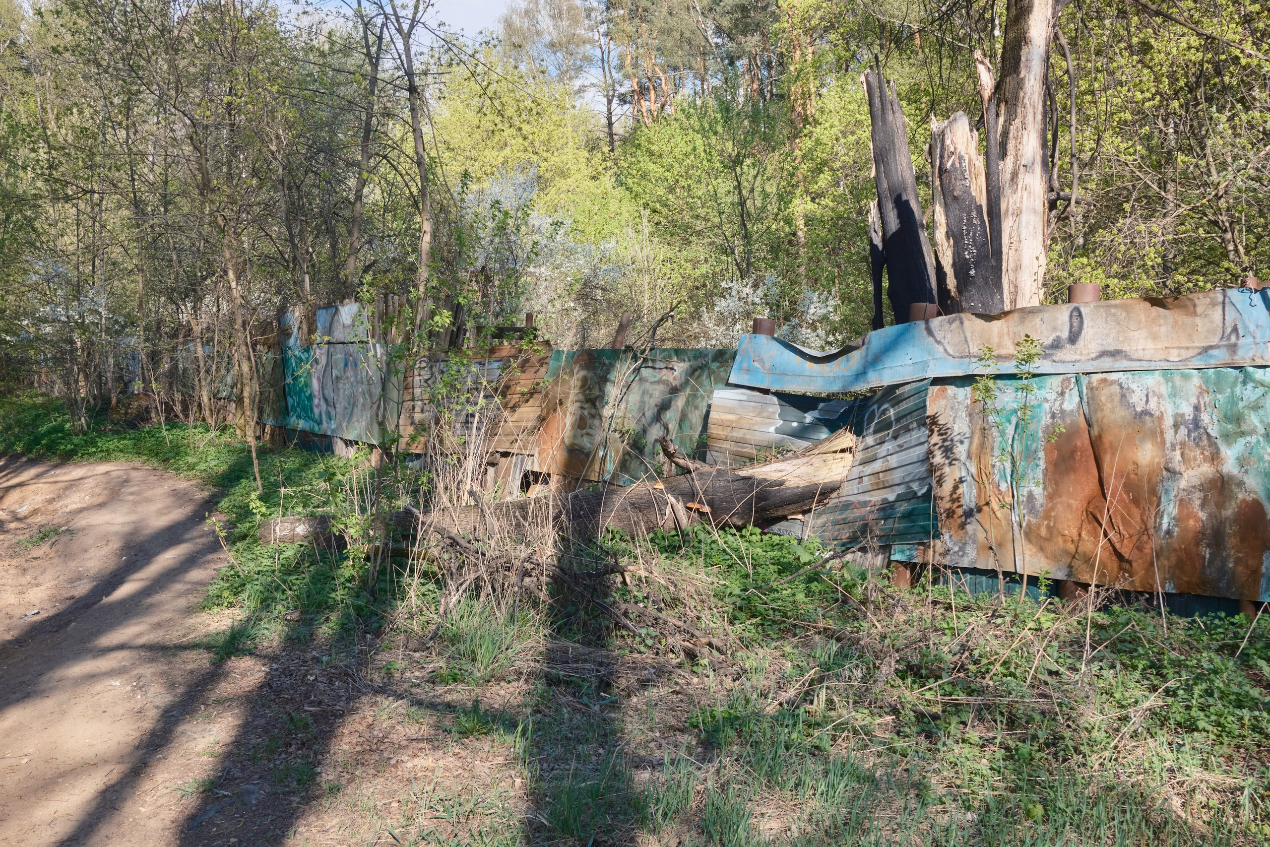 Парк Синичка | Красногорск. Фотографъ Сергѣевъ. Поймать мгновеніе