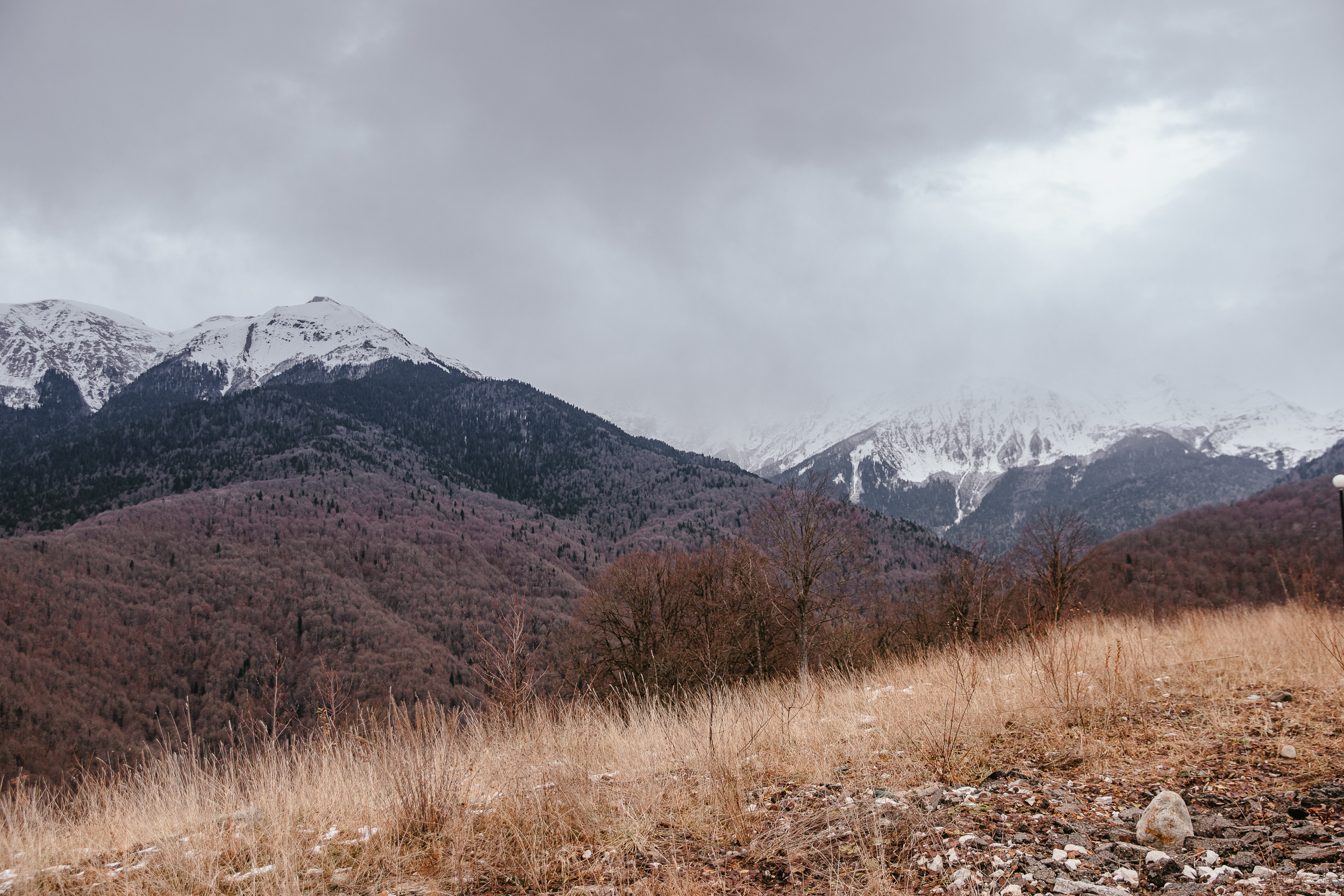Леша и Катя. Иван Кузнецов видеограф, фотограф