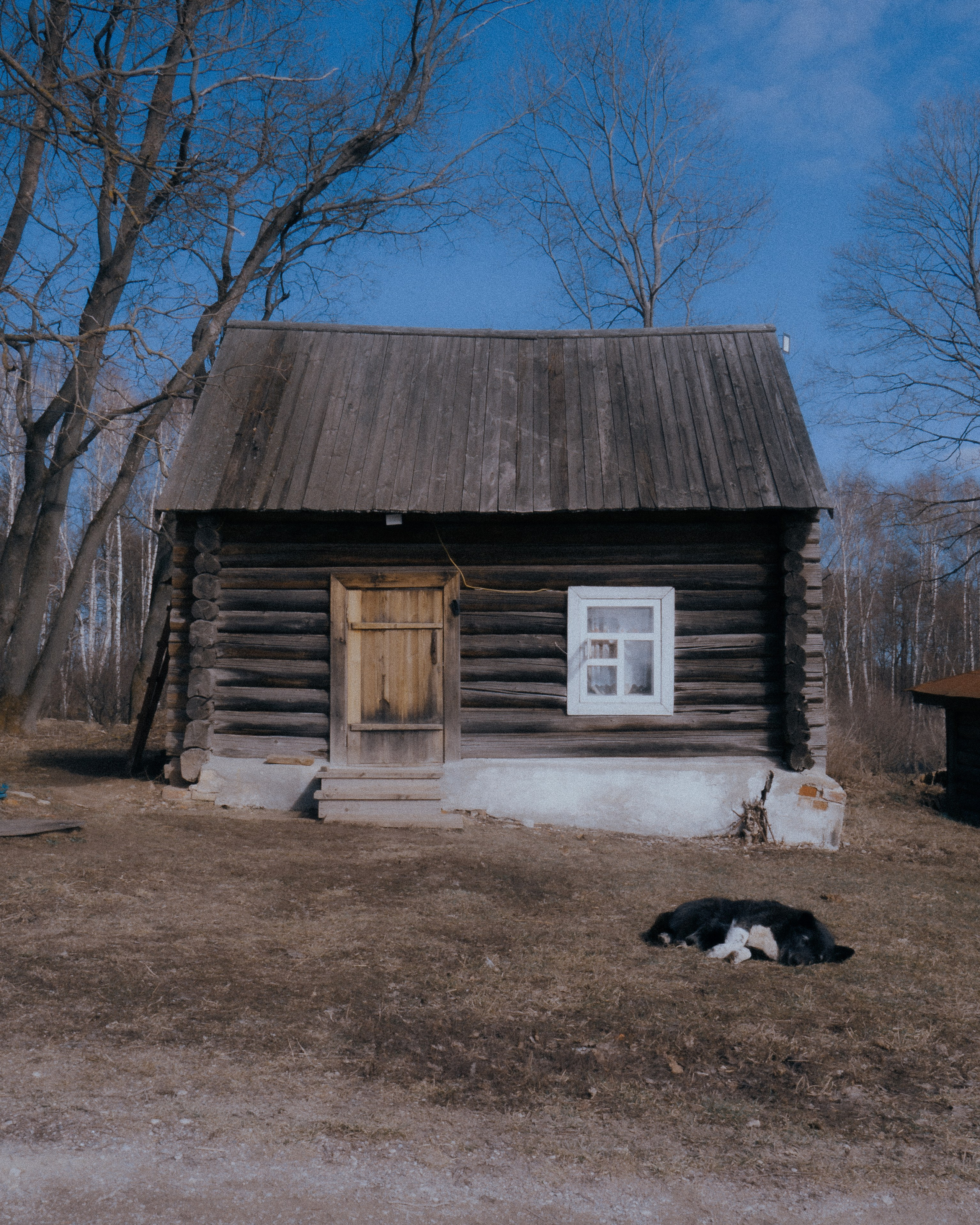 Тула '25. Фёдор Малюгин. Ваш бади в визуале