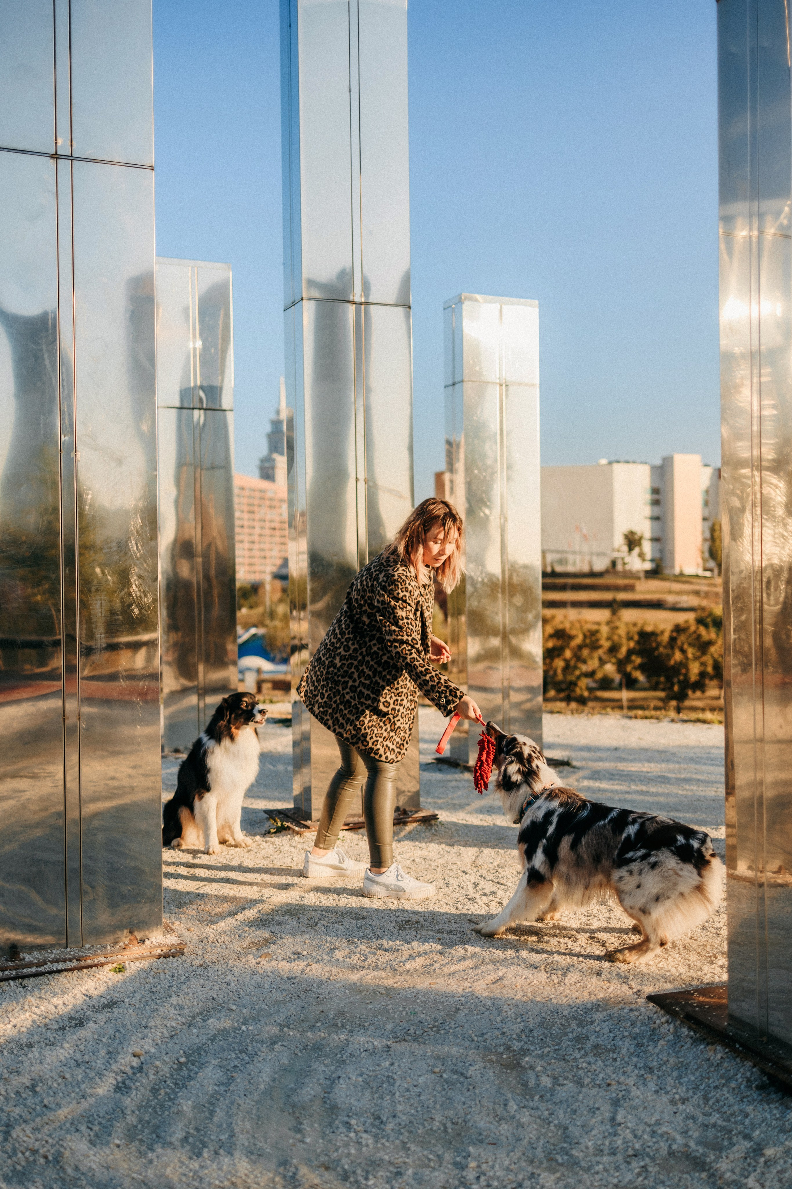 Аня, Чарли и Ева. Фотограф-анималист Елена Радченко, Москва