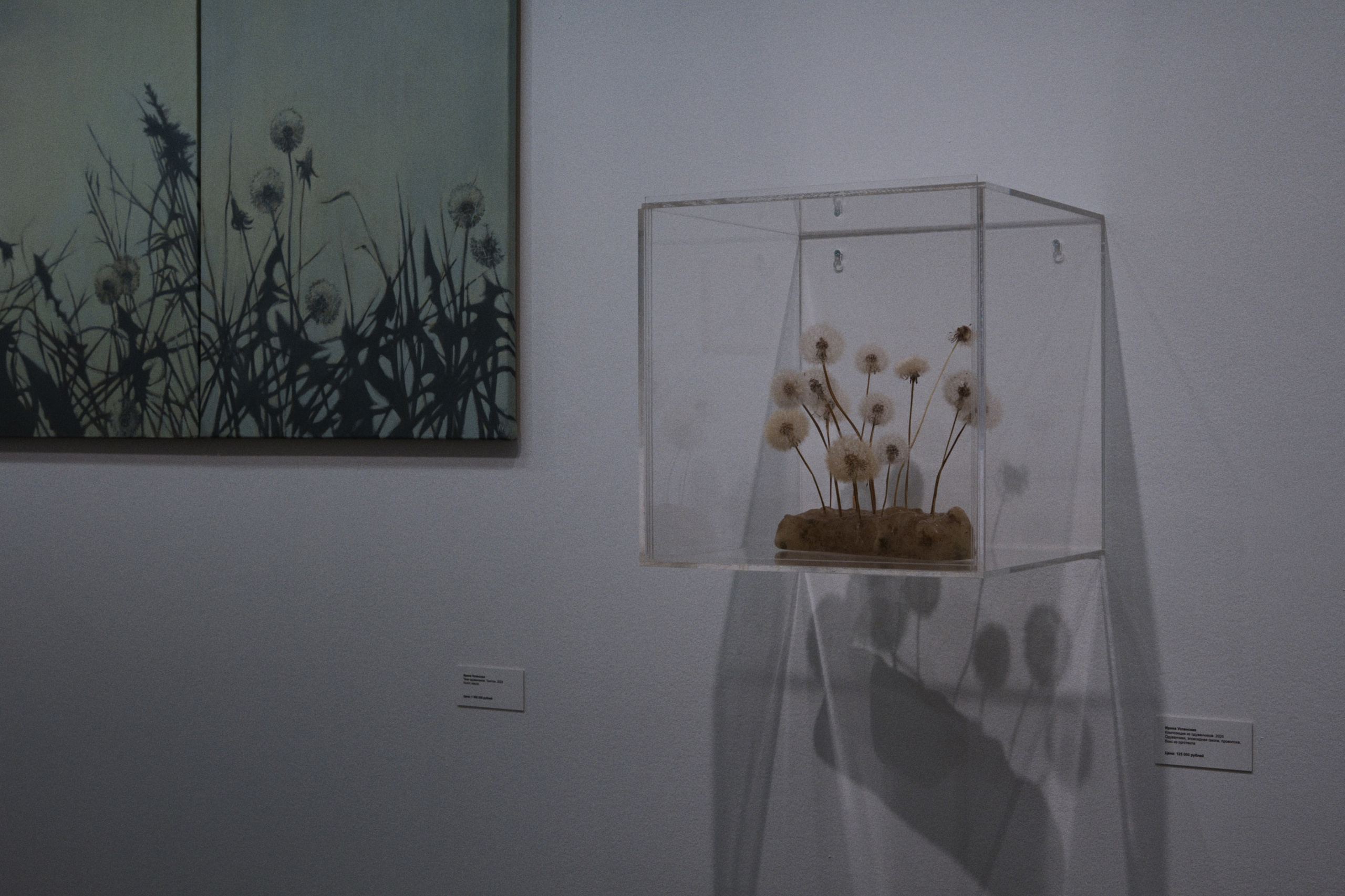 MAMM / Moscow, Russia SS25. Фотограф Юрин Евгений