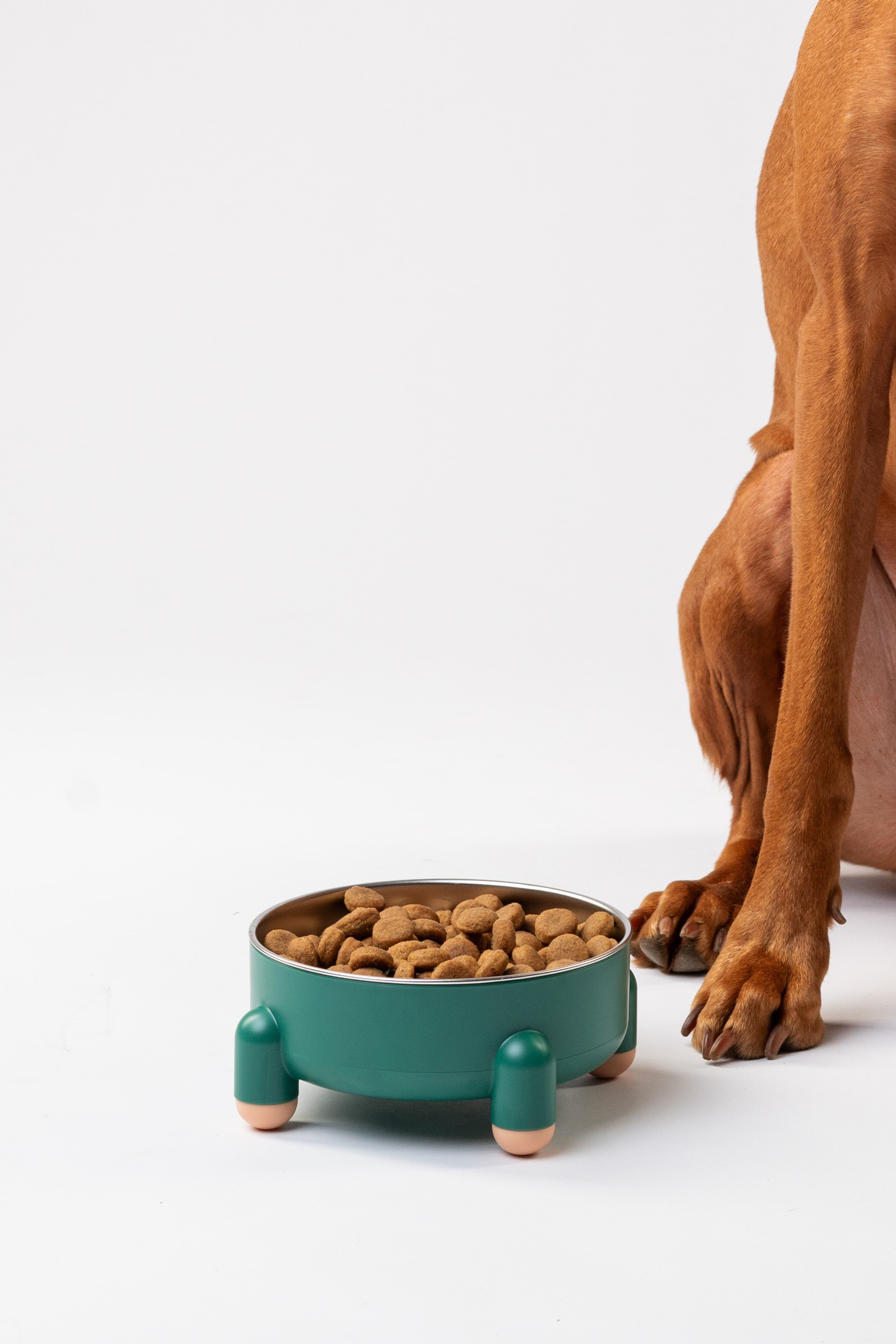 Миски. Фотограф анималист Осипчикова Мария