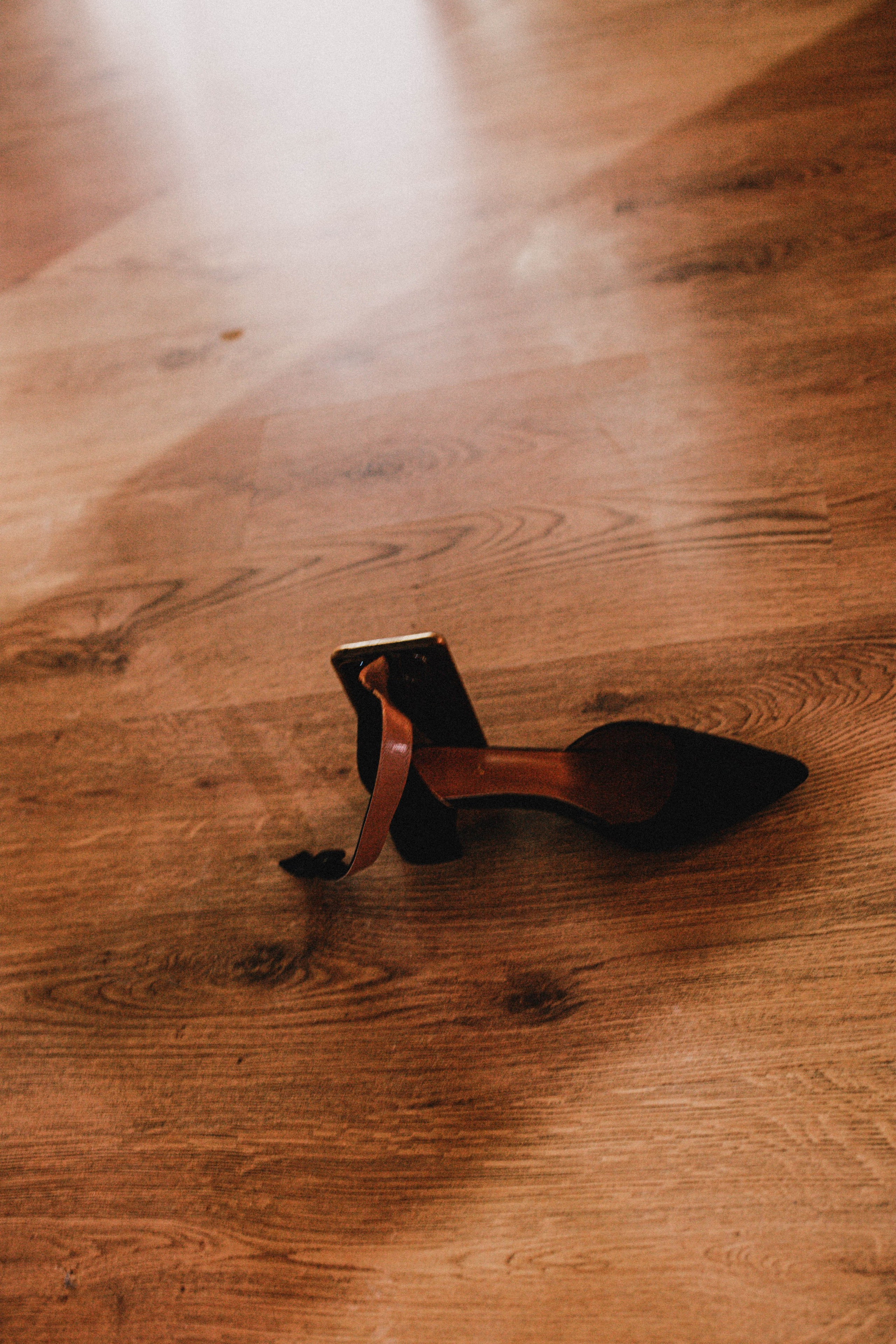 Венера фотовыставка. Фотограф в Нижнем Новгороде