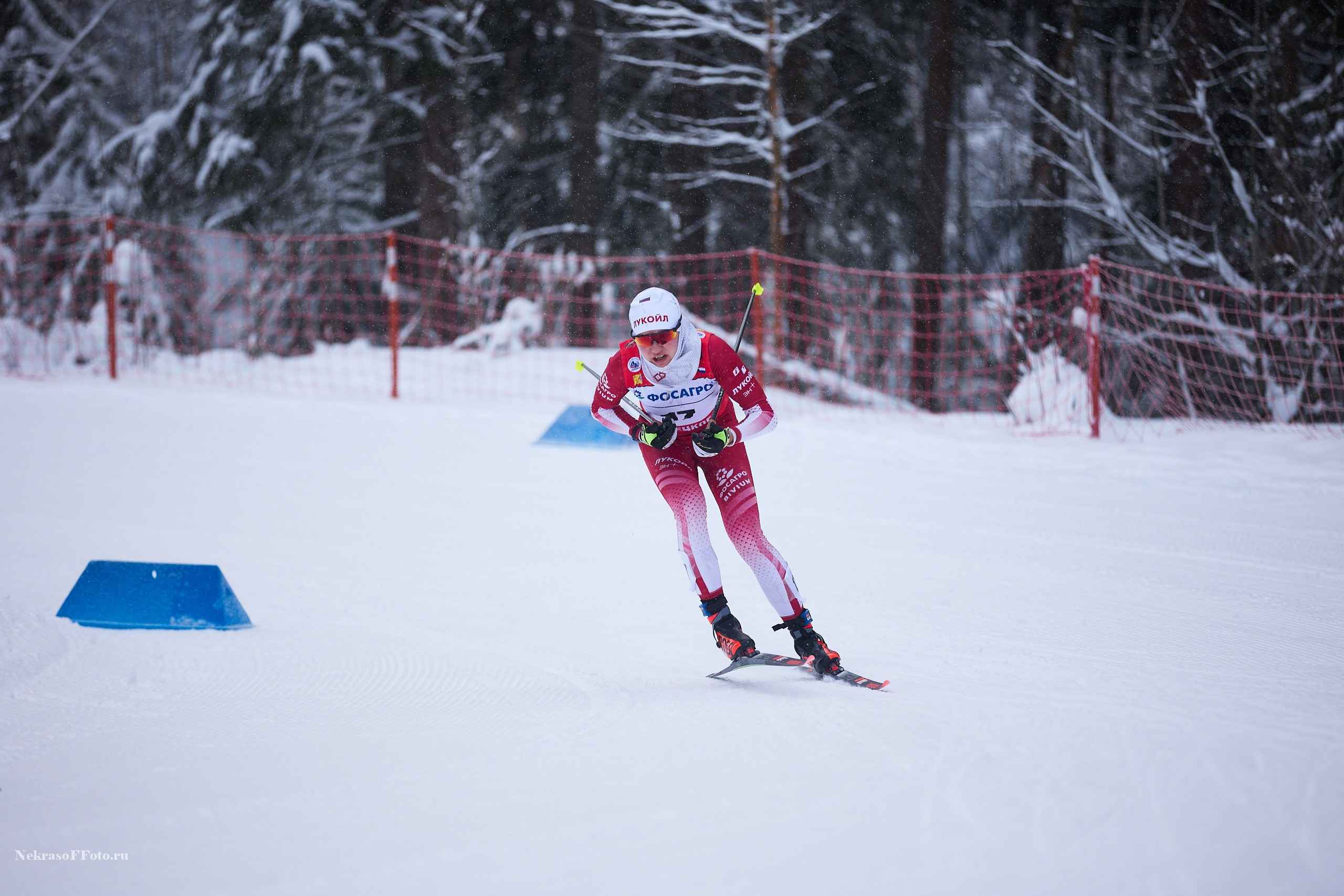 Кубок России по Лыжным гонкам. Спортивный фотограф Некрасов Денис