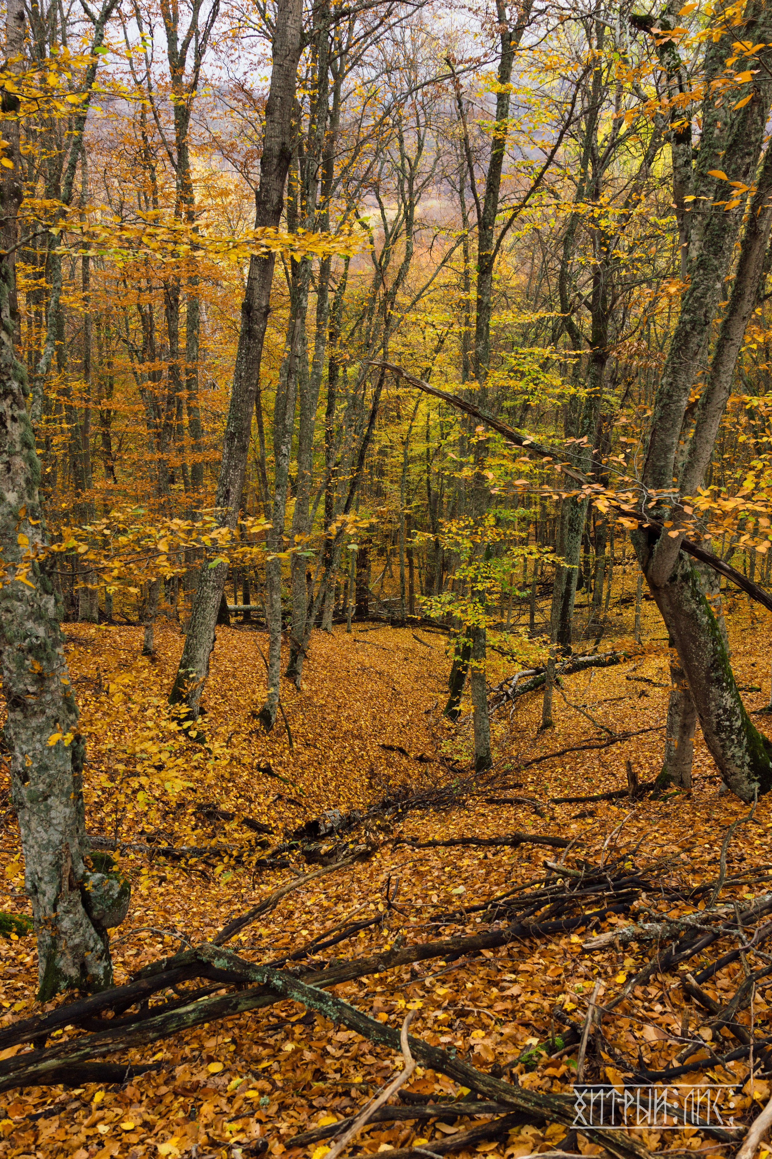 Крым. Фотограф-путешественник Самойлов Максим «Sly Fox»