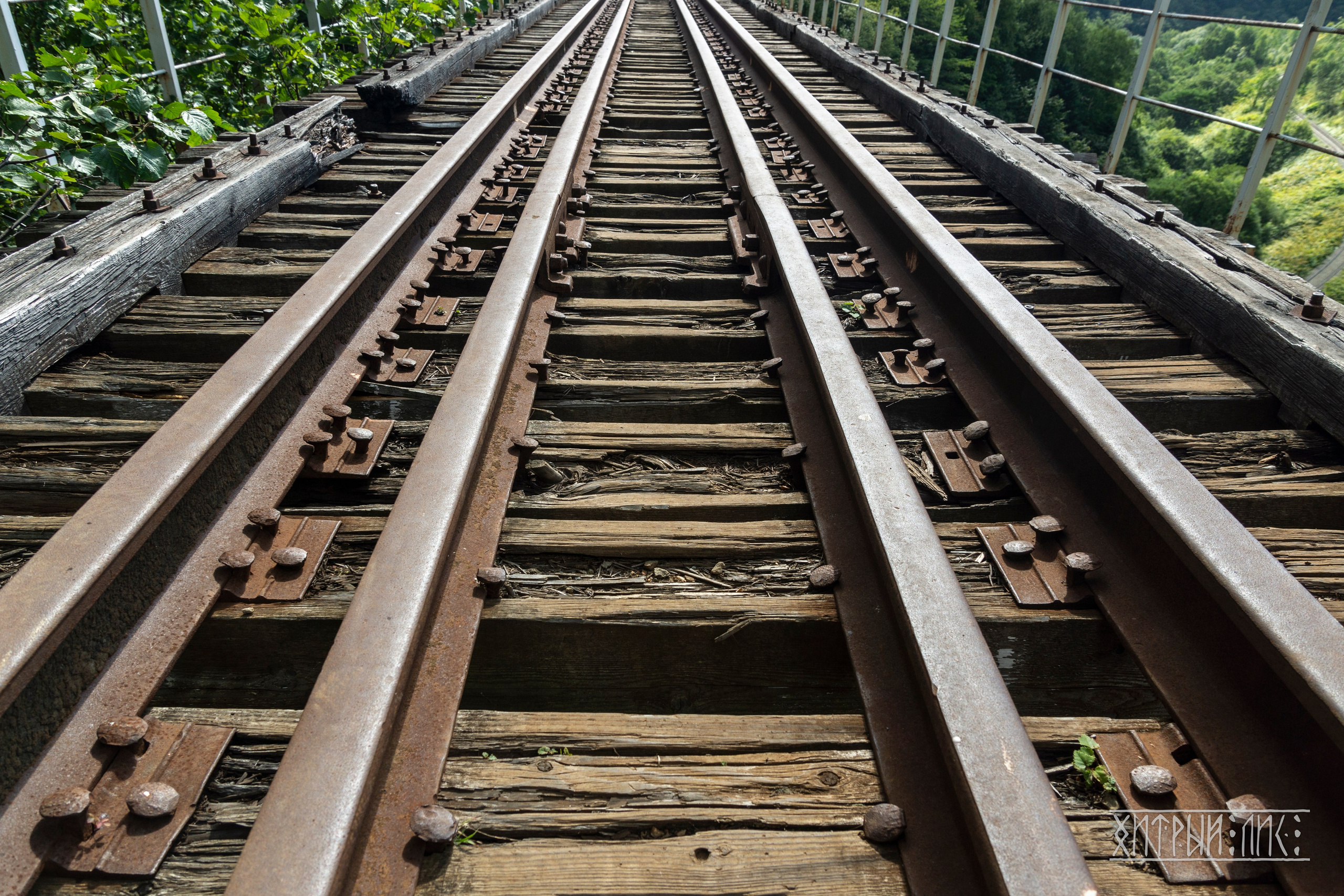 Сахалин. Фотограф-путешественник Самойлов Максим «Sly Fox»