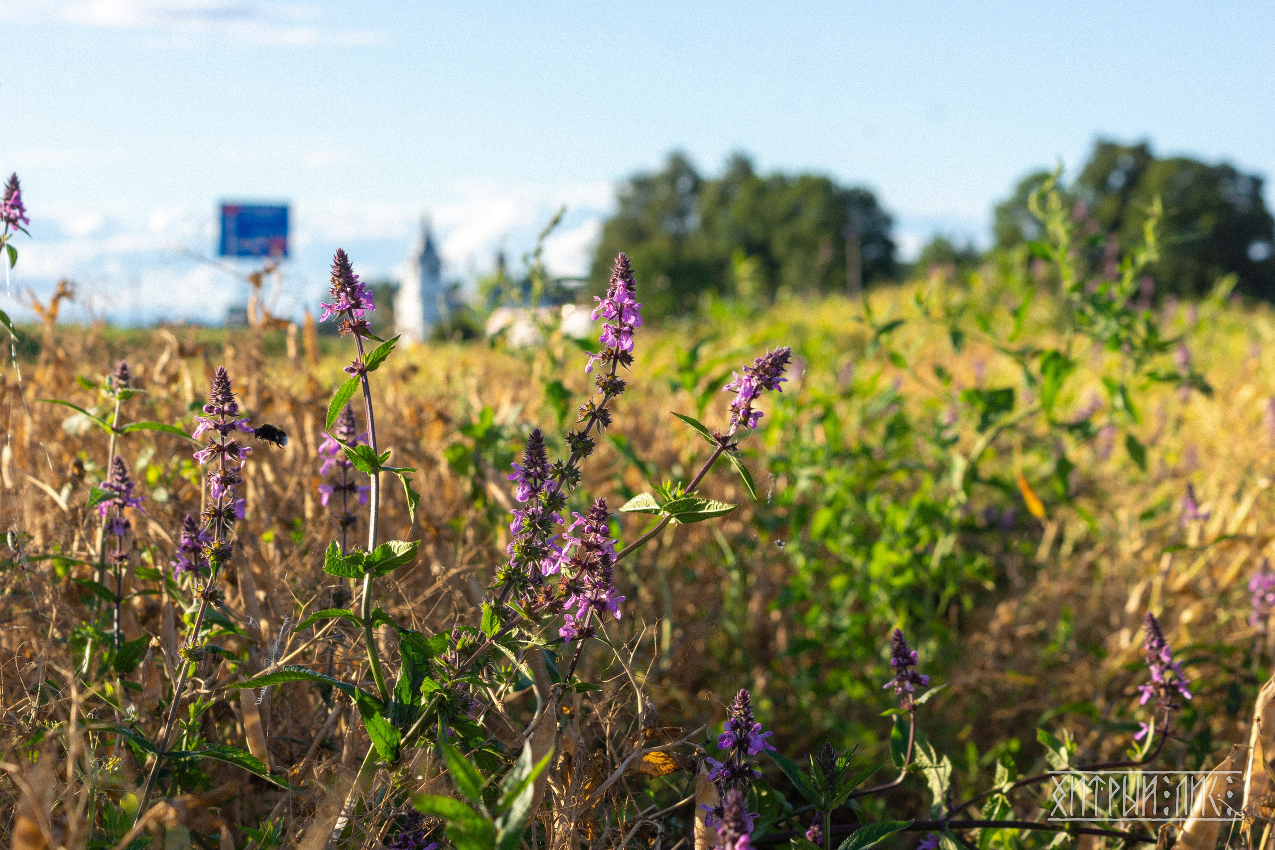 Беларусь. Фотограф-путешественник Самойлов Максим «Sly Fox»