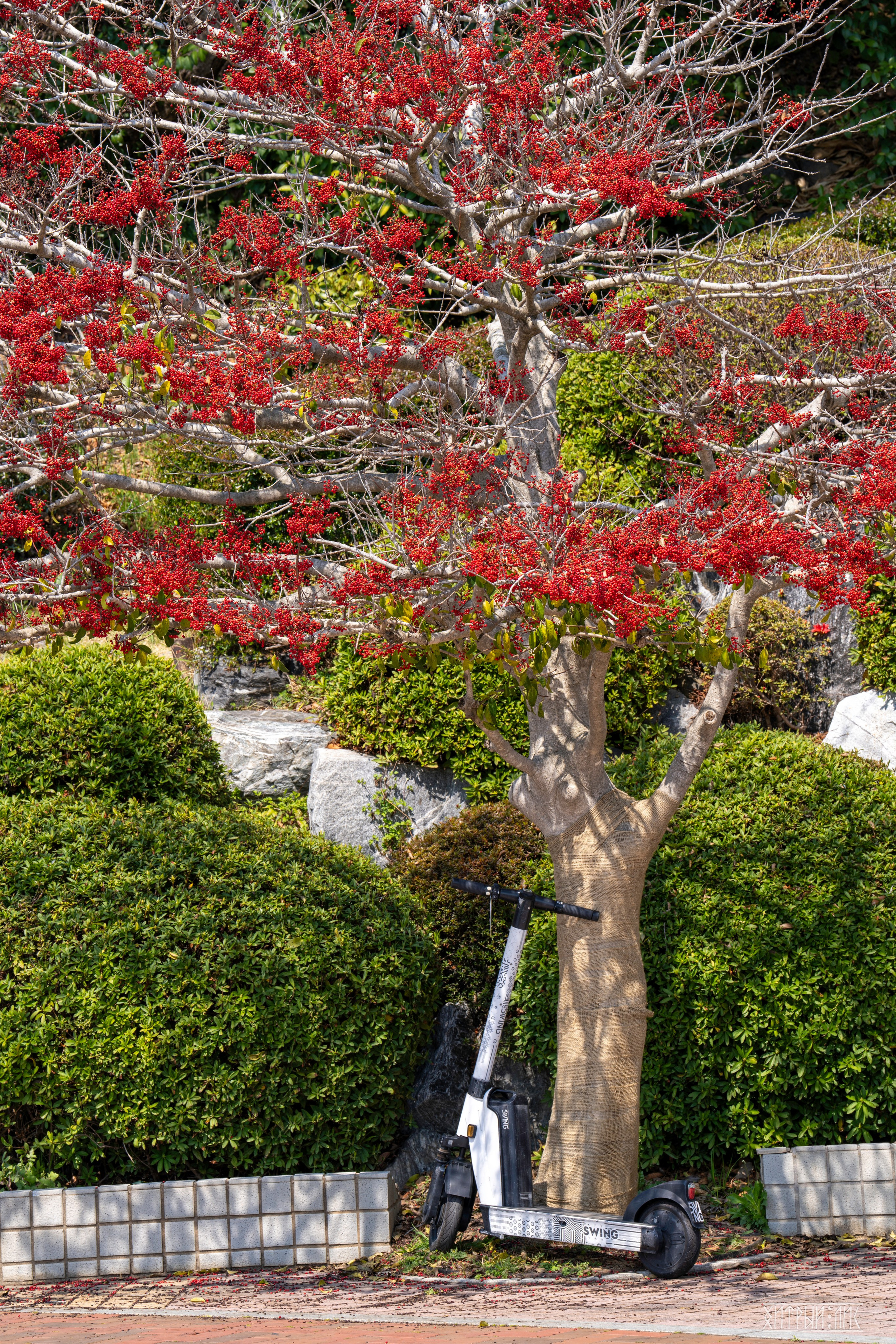 Южная Корея. Фотограф-путешественник Самойлов Максим «Sly Fox»