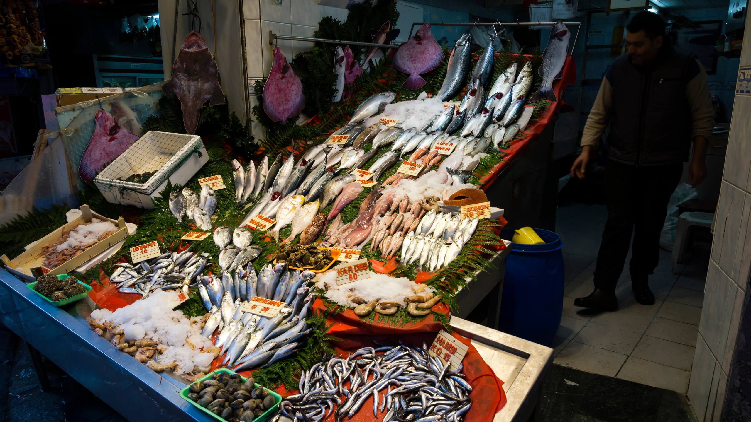 Стамбул. Фотограф-путешественник Самойлов Максим «Sly Fox»