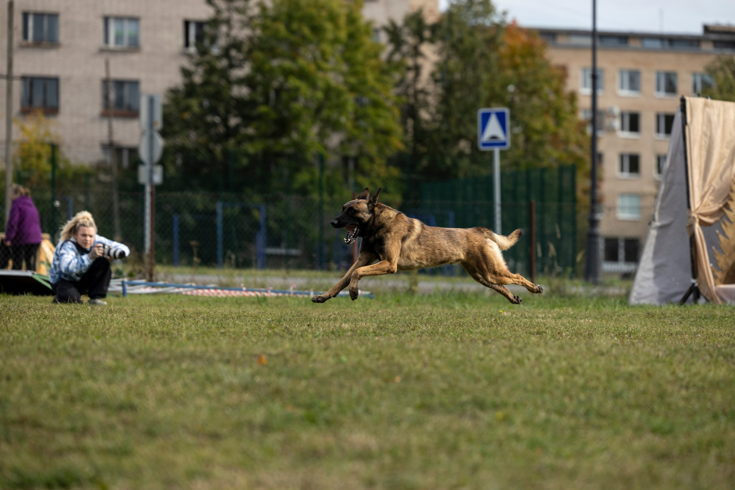 Испытания по Мондьорингу г. Пушкин. Фотограф-анималист Анна Маринич