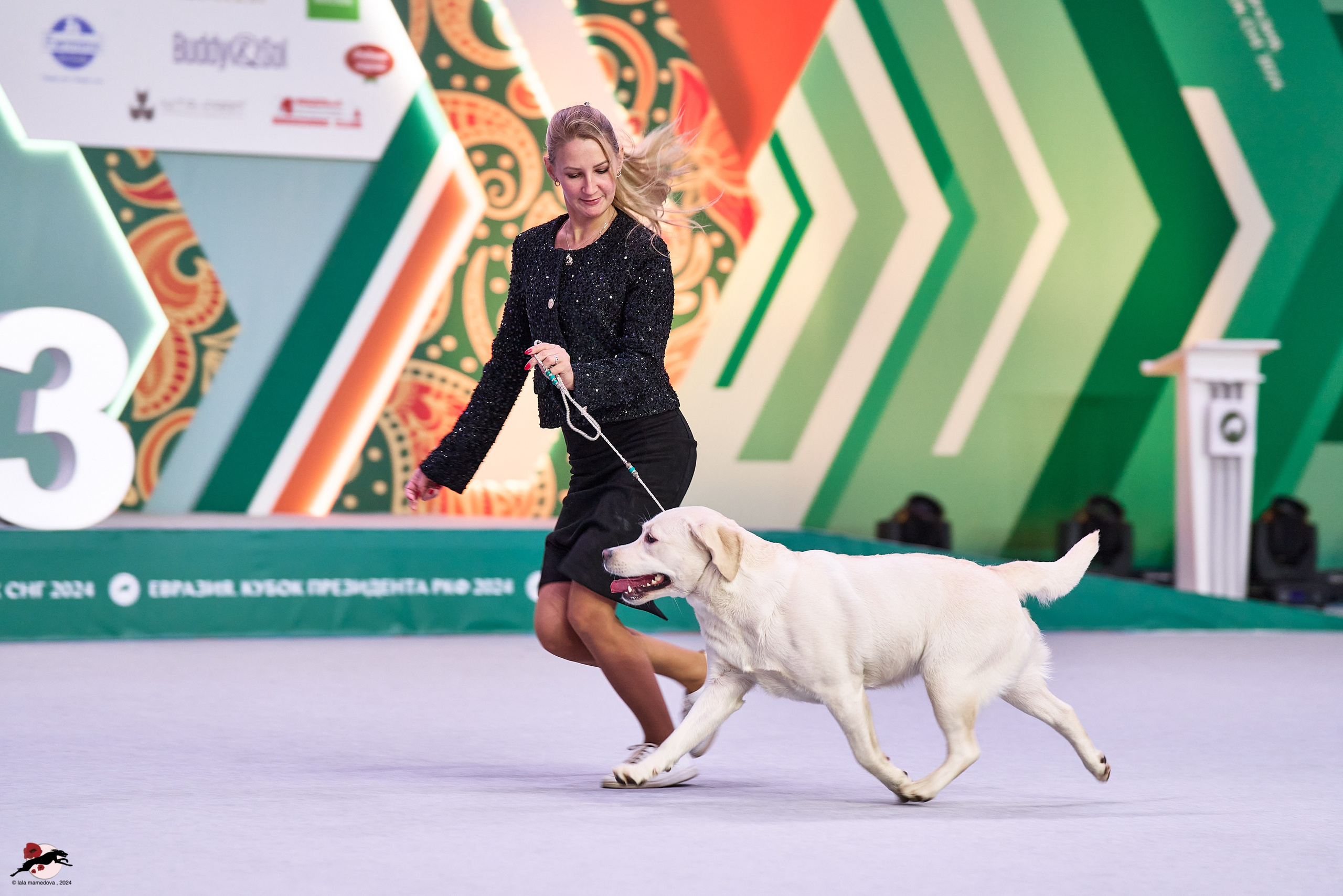 17.11.2024 «ЕВРАЗИЯ. КУБОК СНГ 2024»