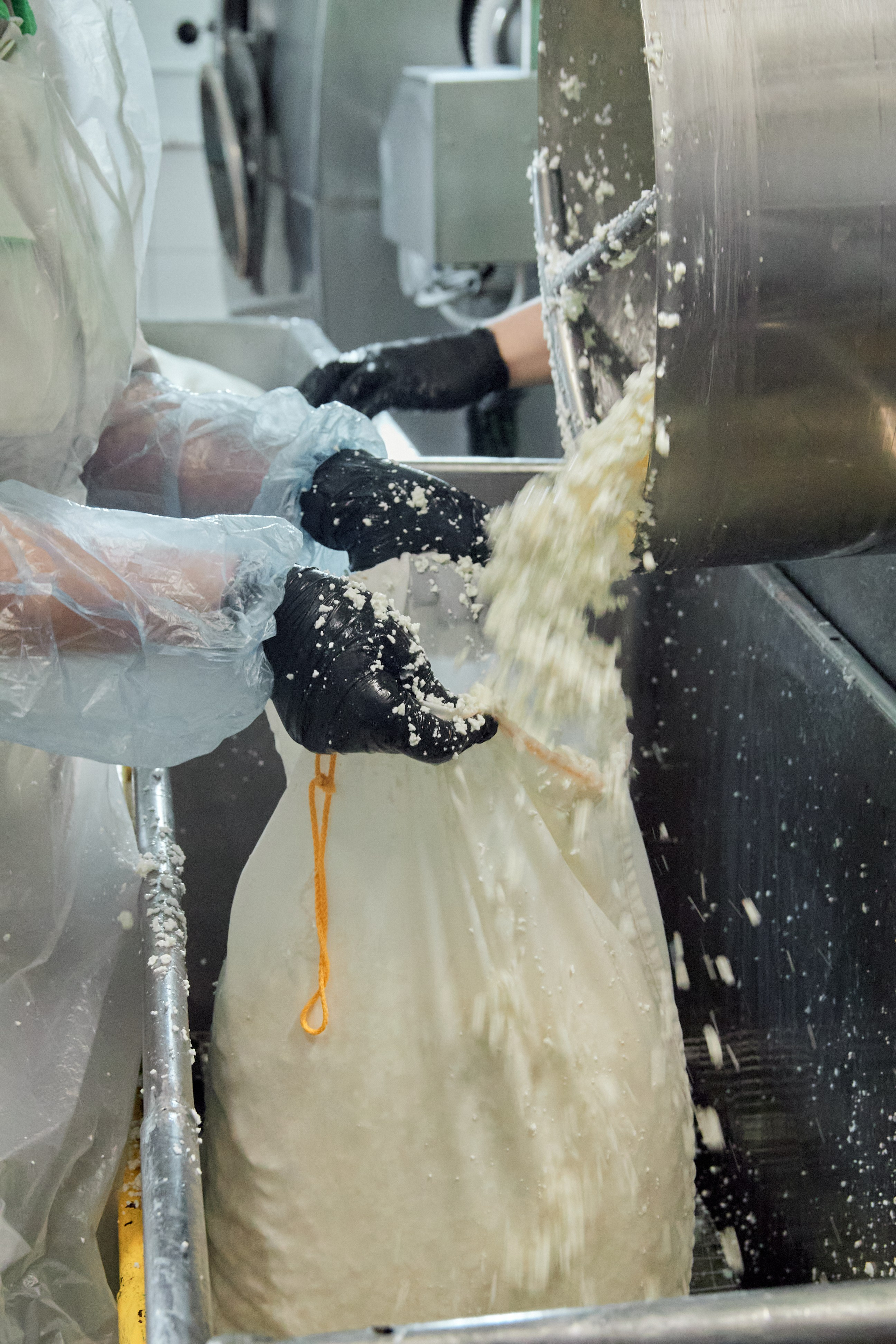 Экскурсия «Агроферма-Катынь». Фотограф в Смоленске Ася Польшина