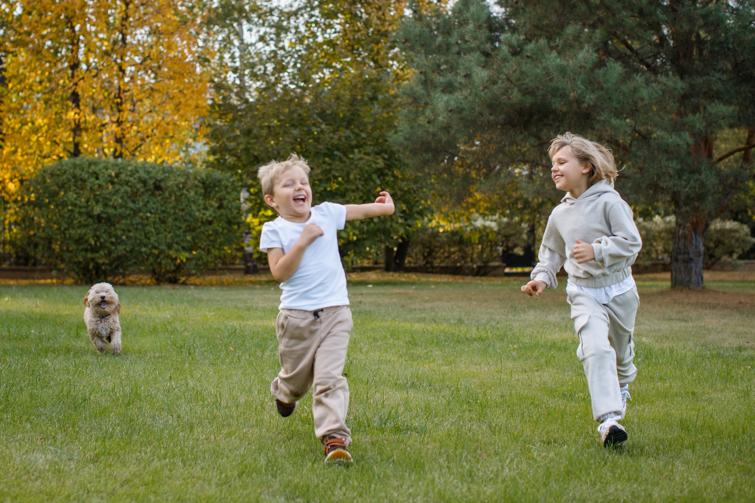 Осень. Детский и семейный фотограф Мария Киселёва. Москва
