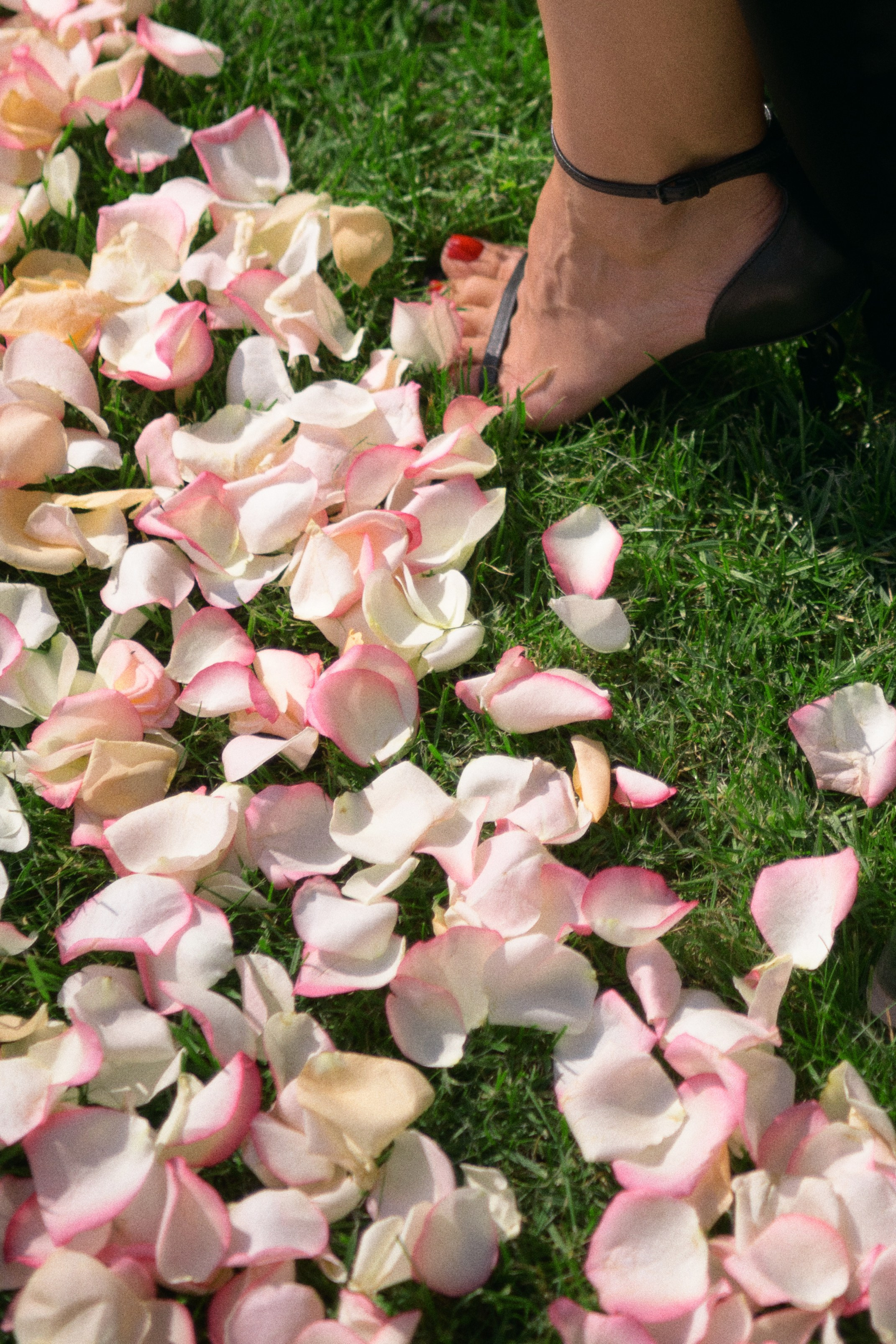 Катя & Егор. Свадебный фотограф в Минске
