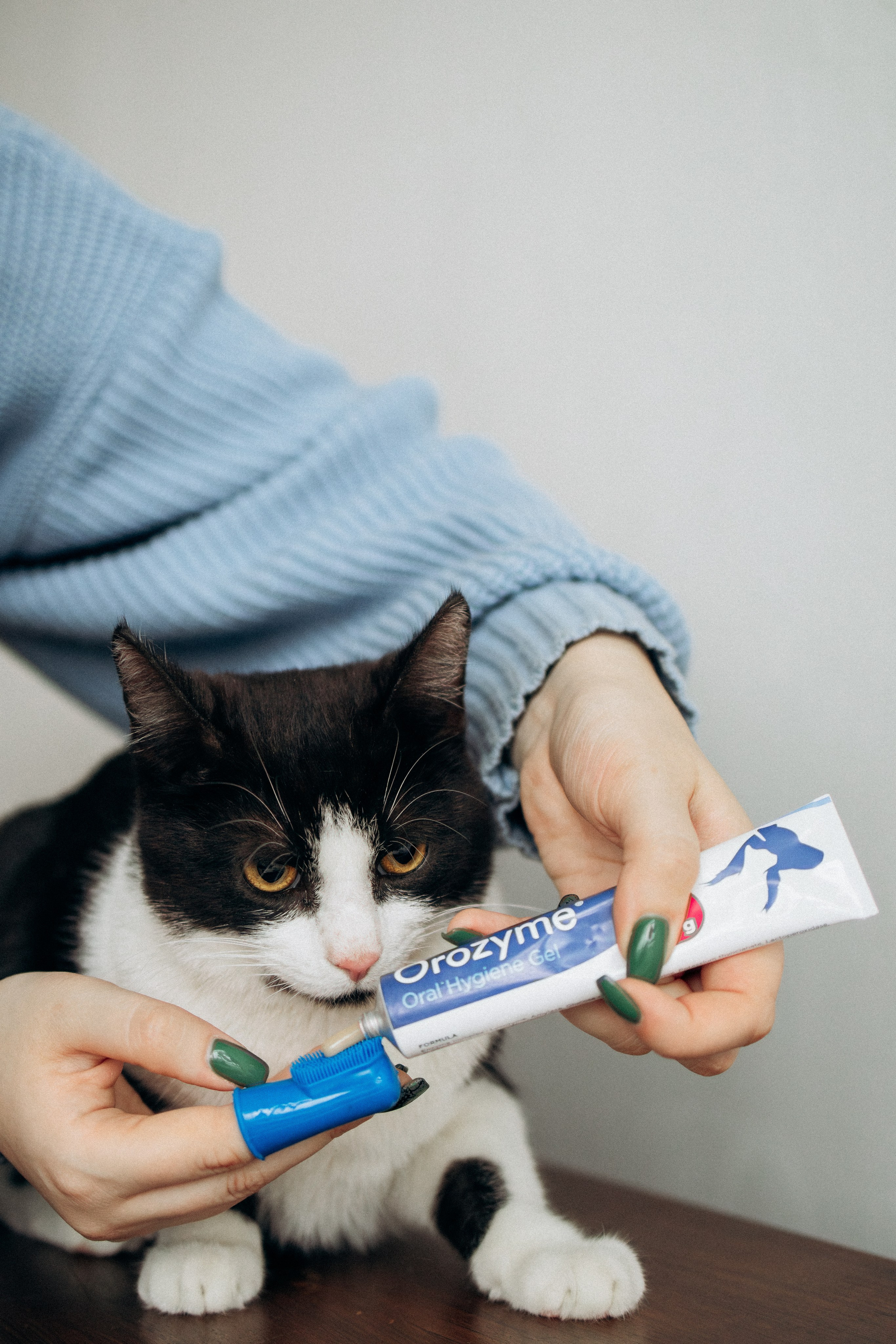 Orozyme&Emmiepet. Фотораф — анималист Мария Шистка