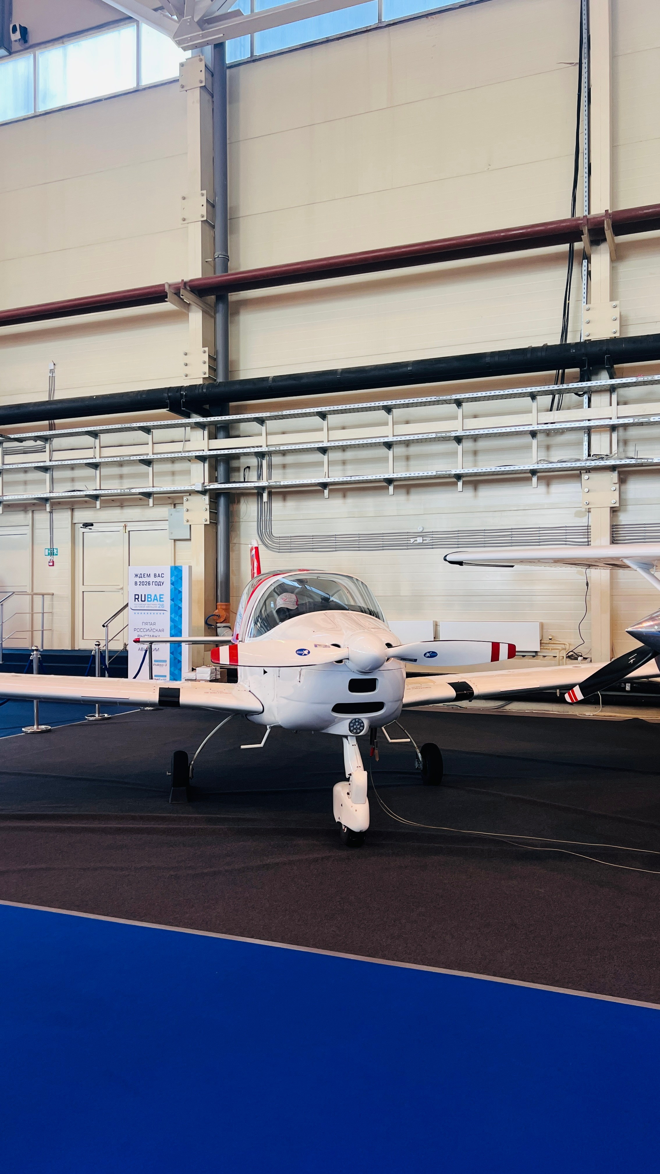 Репортаж с выставки RUBAE 2025. Анна Потявина. Фотограф Москва