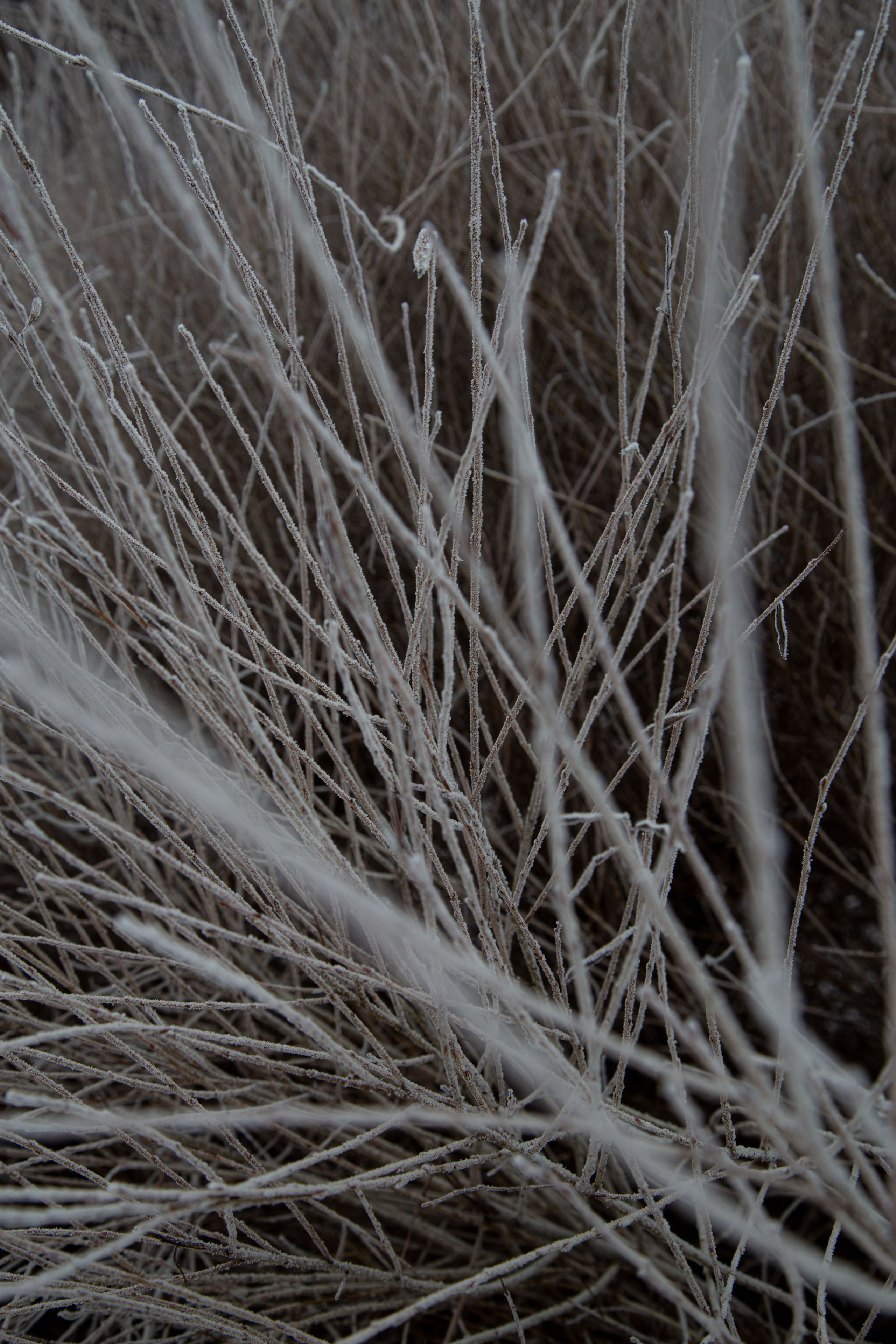 Воздух февраля. Dmitriy [KCCC] is a pretty cool photographer