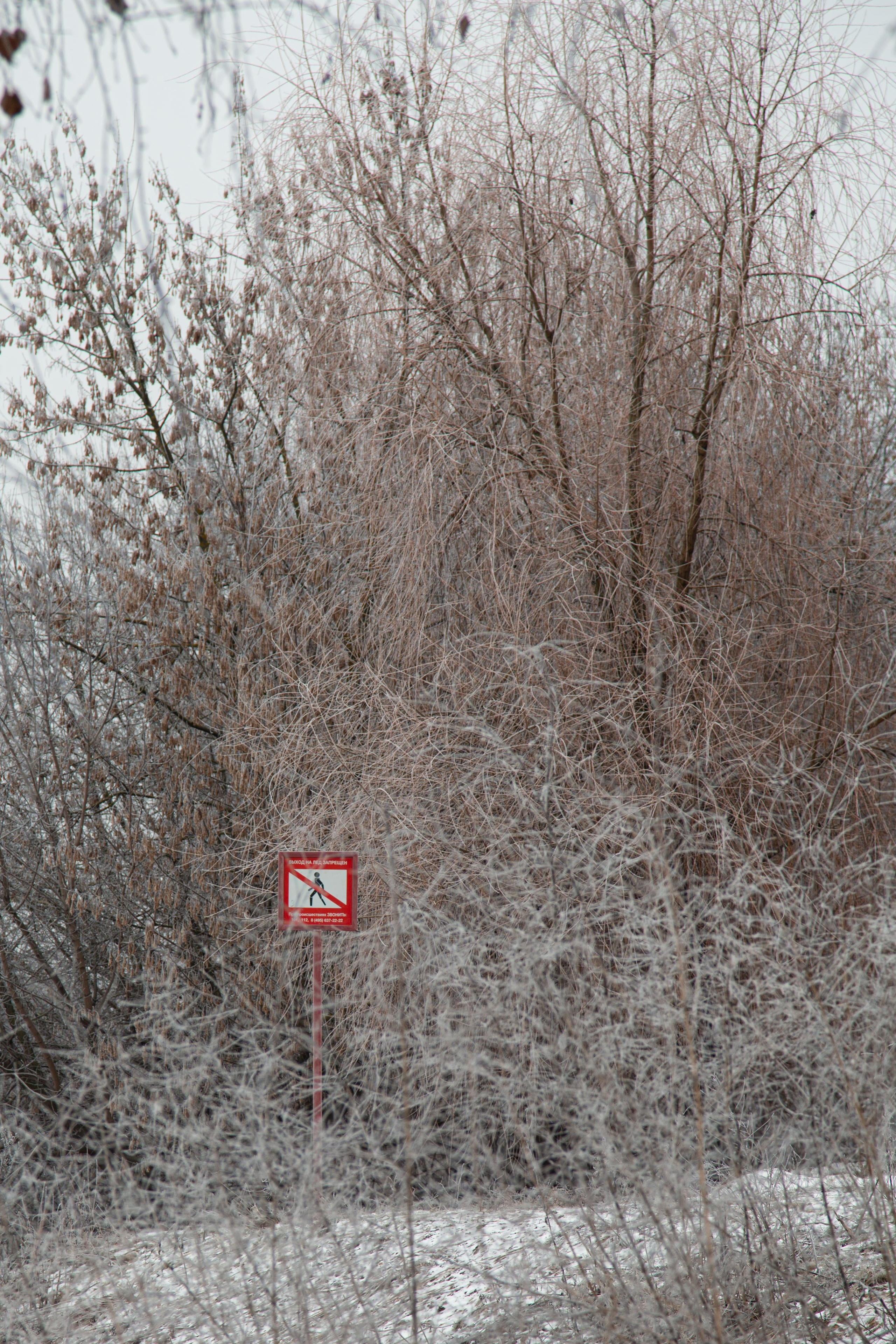 Воздух февраля. Dmitriy [KCCC] is a pretty cool photographer