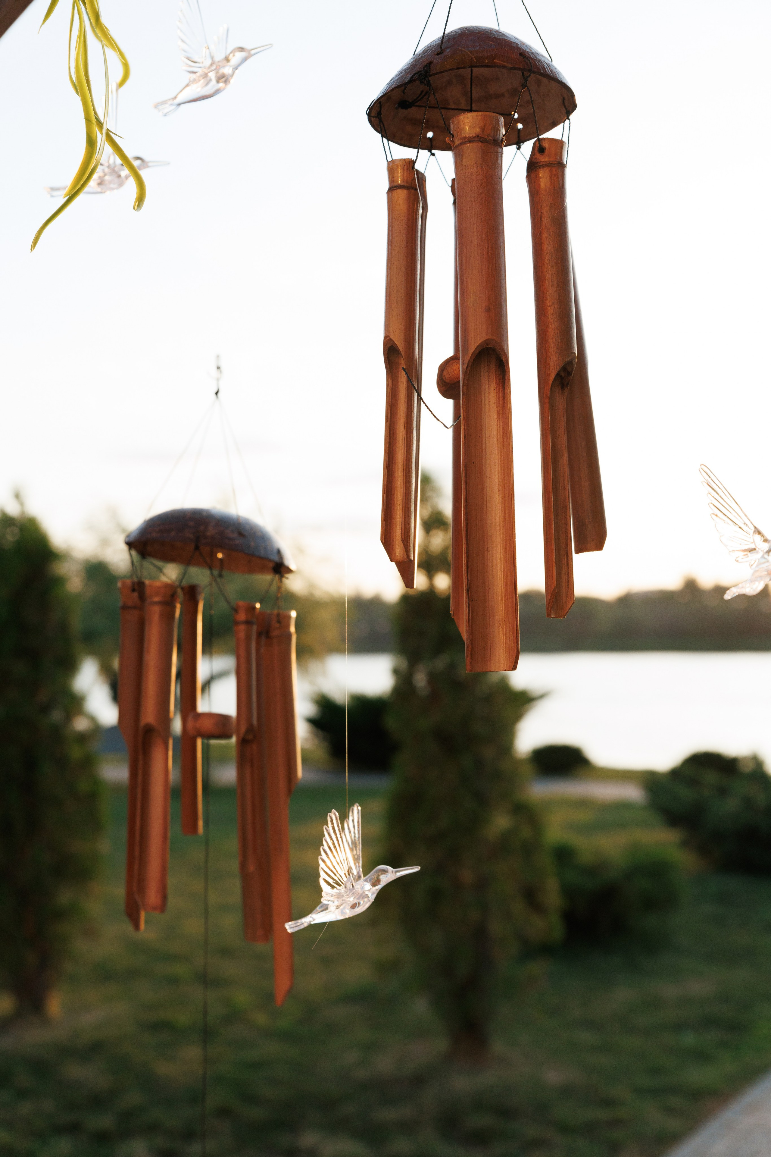 Надя и Купер. Фотограф и Видеограф в Ростове на Дону