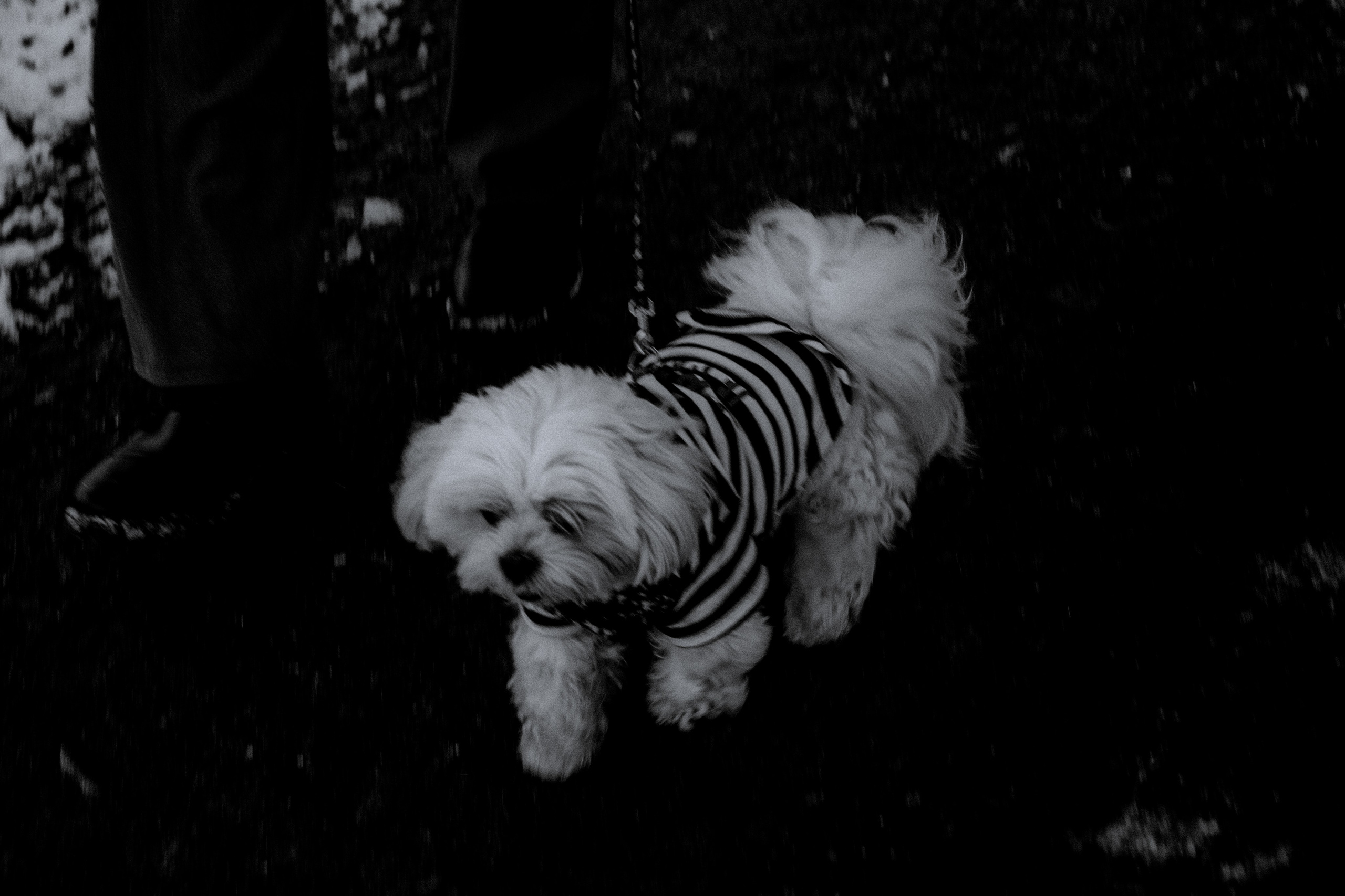 Julia and Roma. Фотограф в Санкт-Петербурге Бирюлев Илья