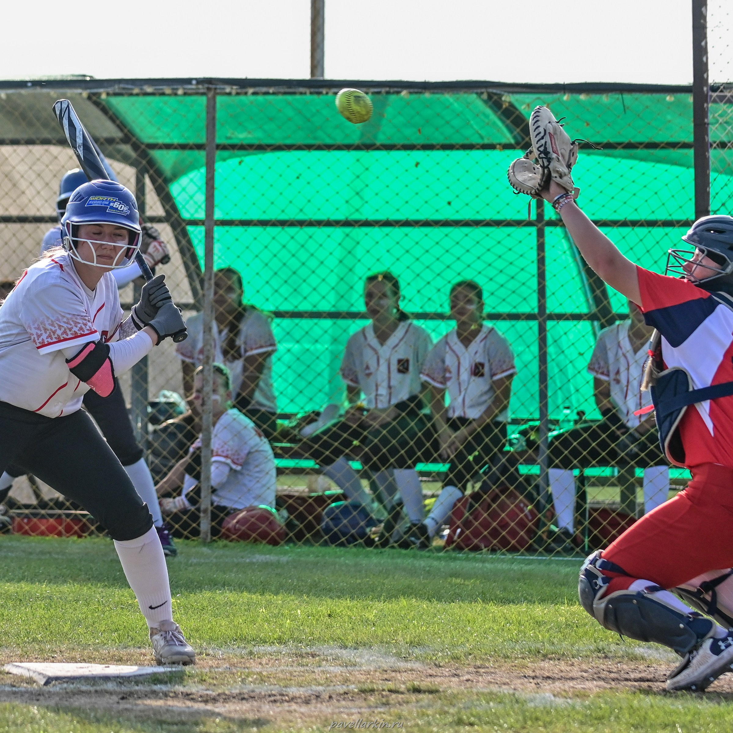 Софтбол: Финал юношеской спартакиады 2025 года. Спортивный фотограф, фотожурналист Павел Ларькин
