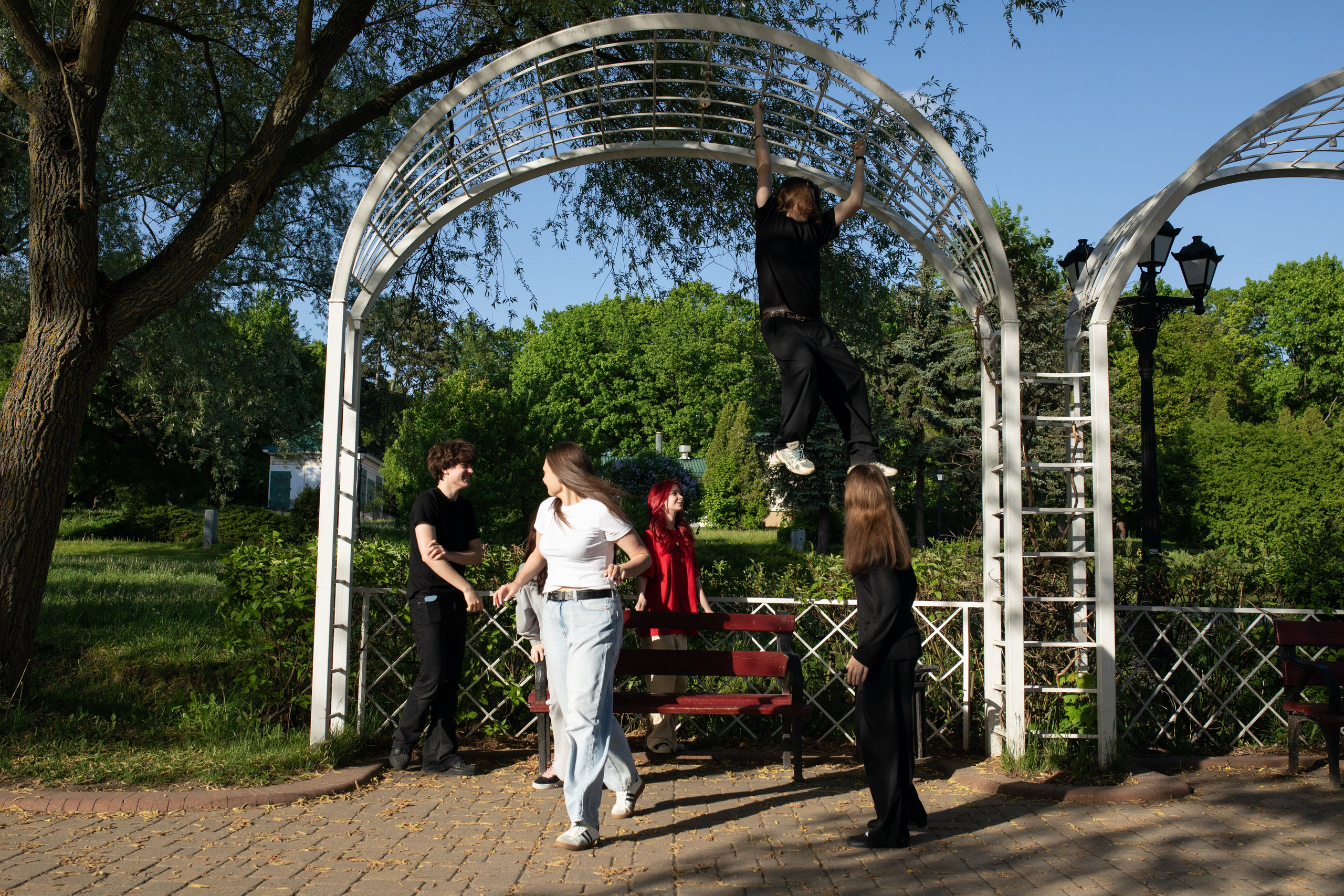 19/05/26 Лошицкий. Выпускные альбомы Cardsi