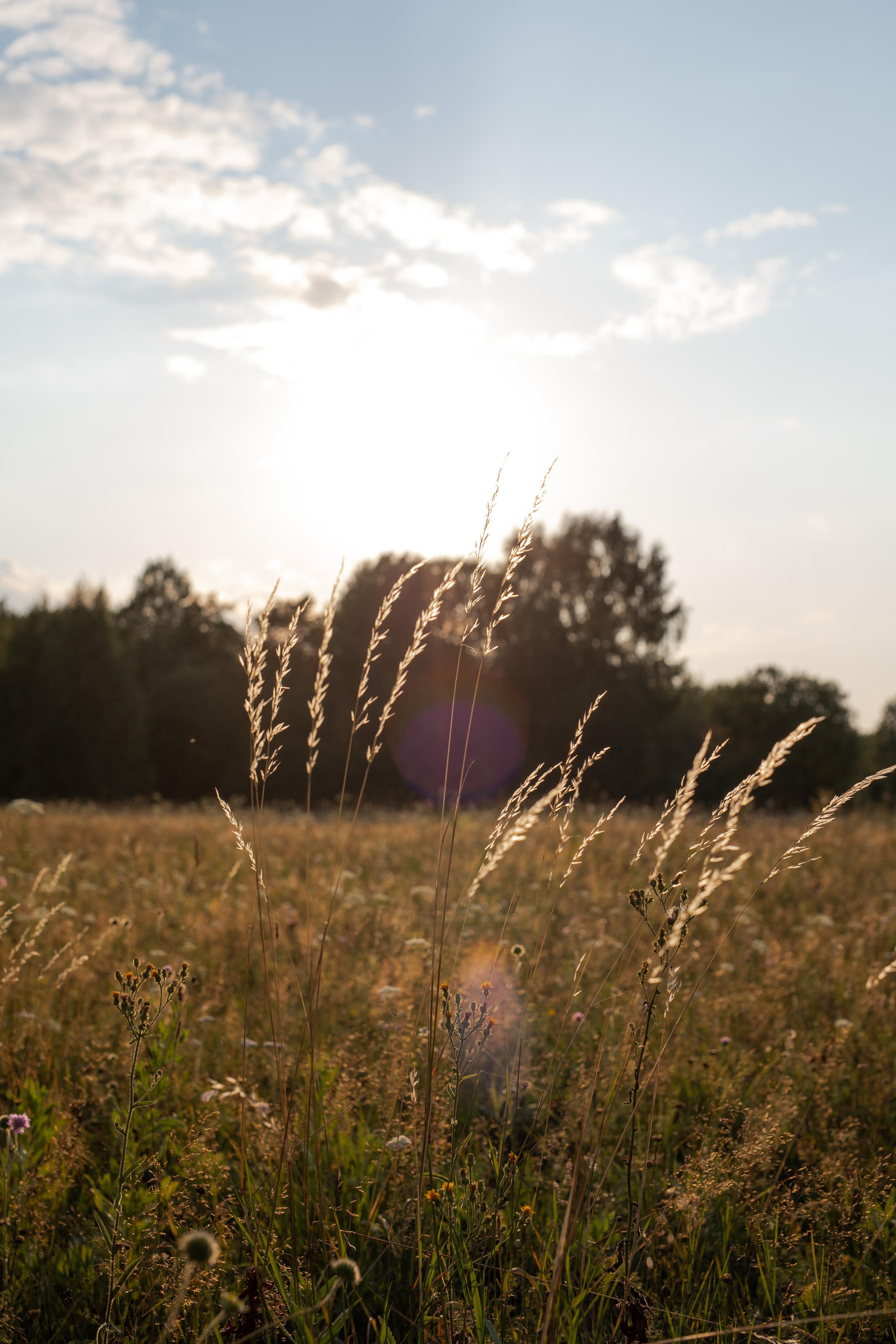 Лилу. Фотограф Анастасия Петрова