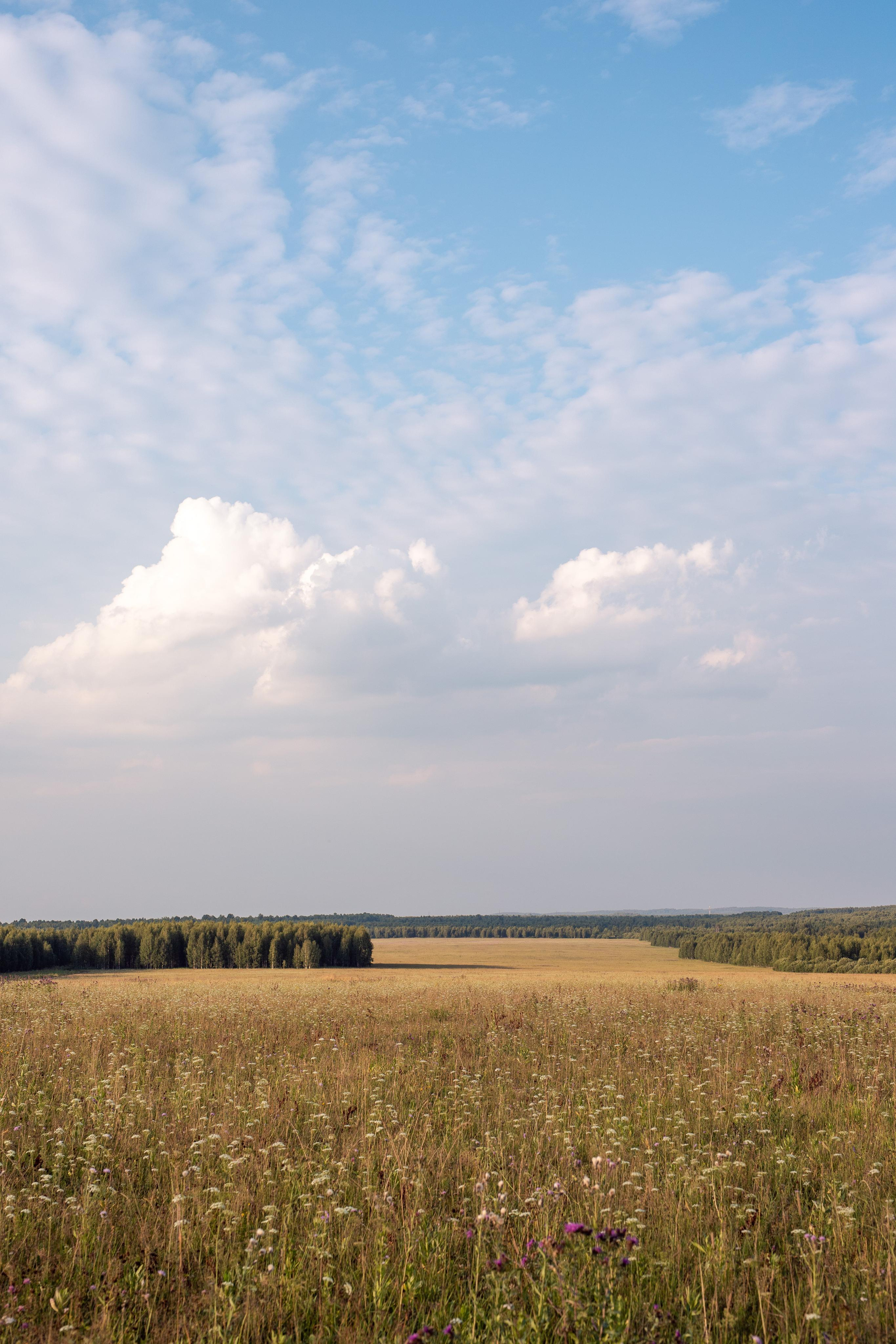 Лилу. Фотограф Анастасия Петрова