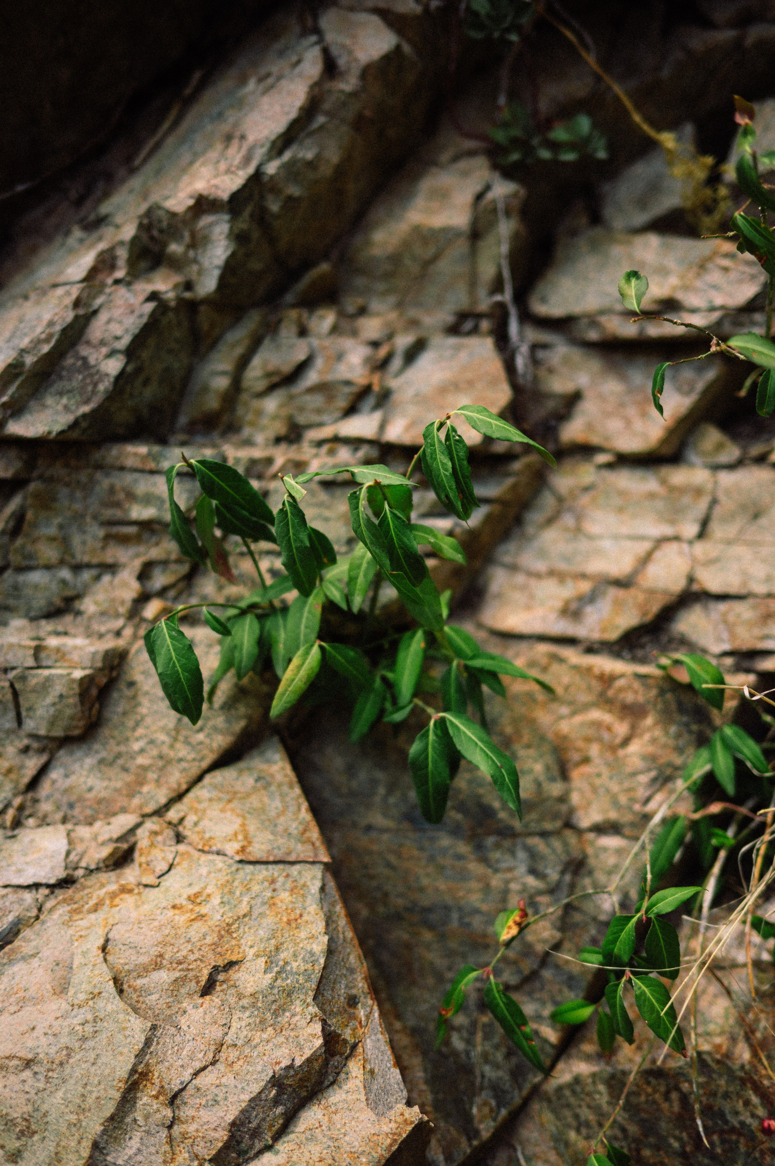 Плато Ассы: июль 2025. Фотограф в Алматы — Дарья Фёдорова