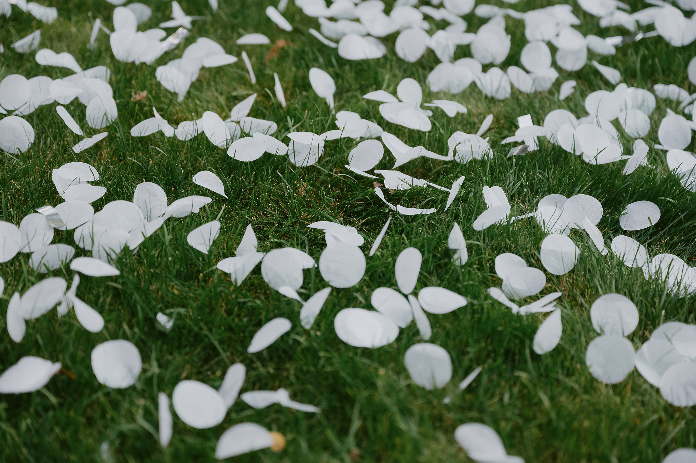 OHANA — значит семья. Свадебный фотограф в Ростовe-на-Дону Анастасия Прутова