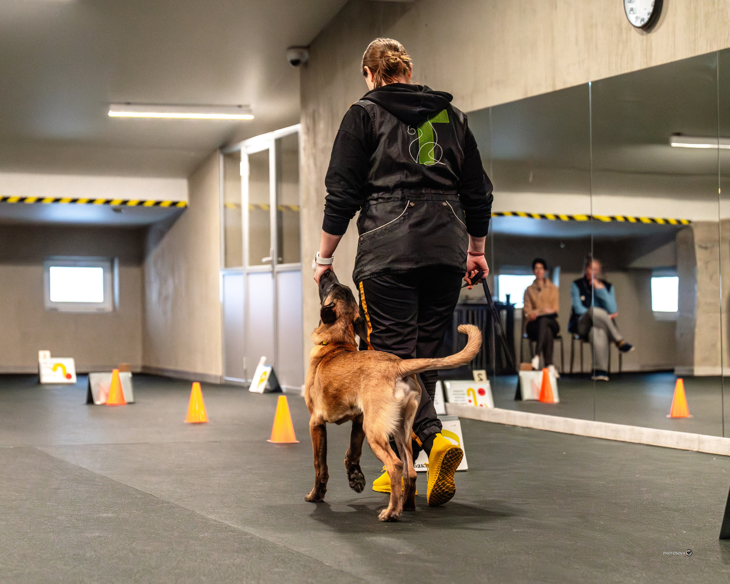 ТЫ И Я (соревнования по ралли-обидиенс). Фотограф-анималист, семейный фотограф в Москве и Подмосковье. Фотосъёмка кинологических дисциплин