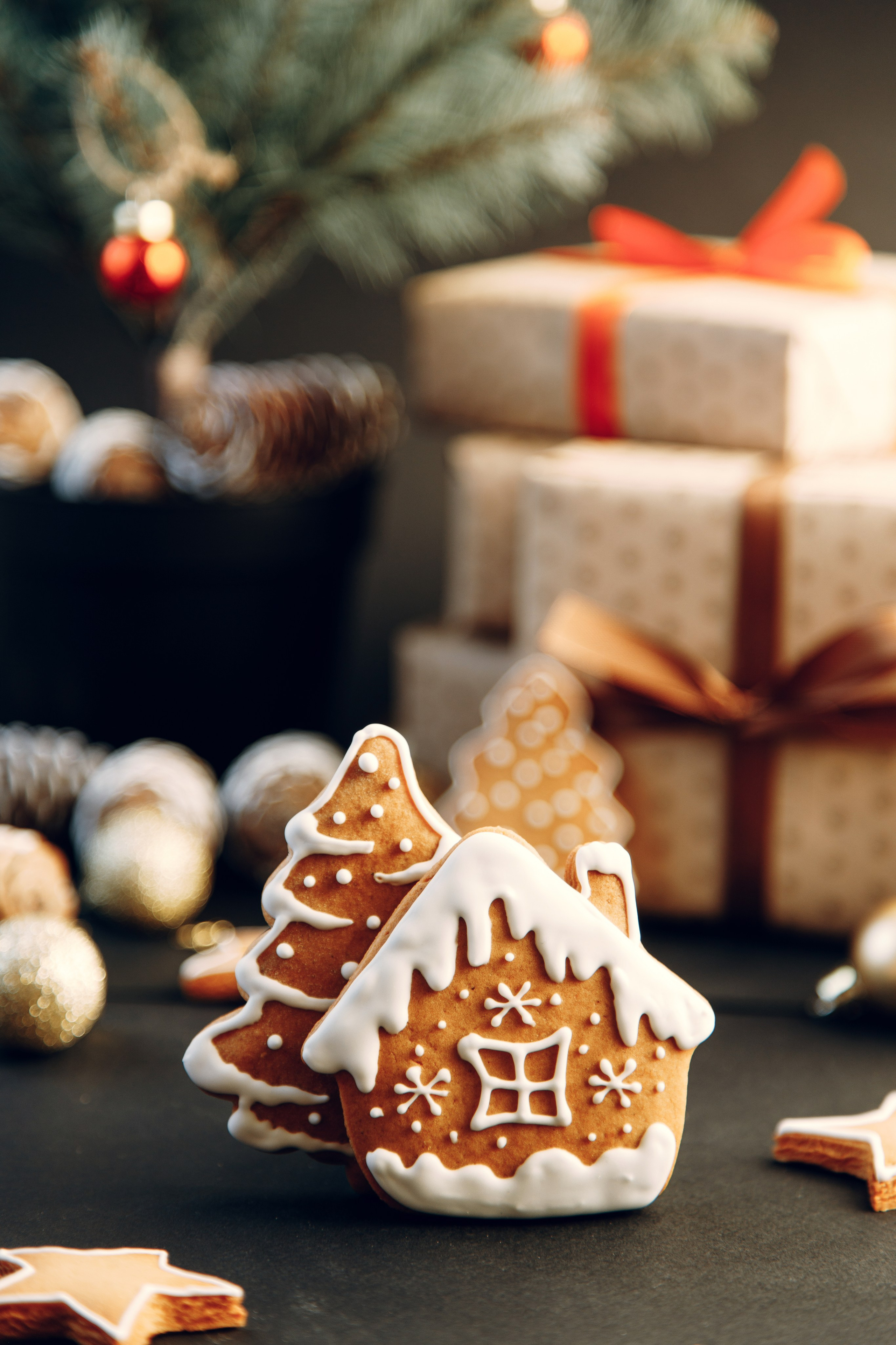 Портфолио Предметы