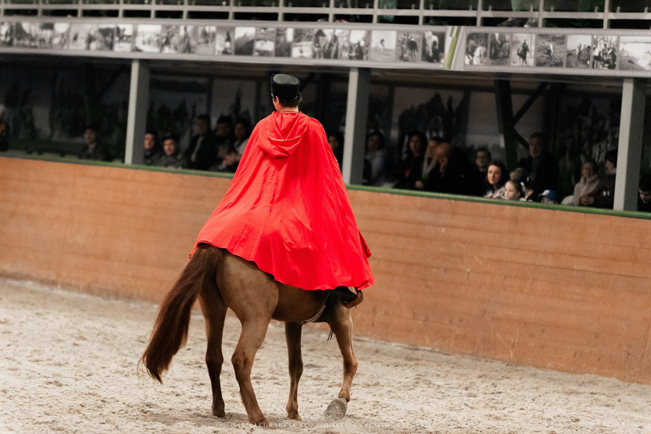Конное представление «Дыхание Звёзд». Конный фотограф Куракина Дарья • Фотосессии с лошадьми