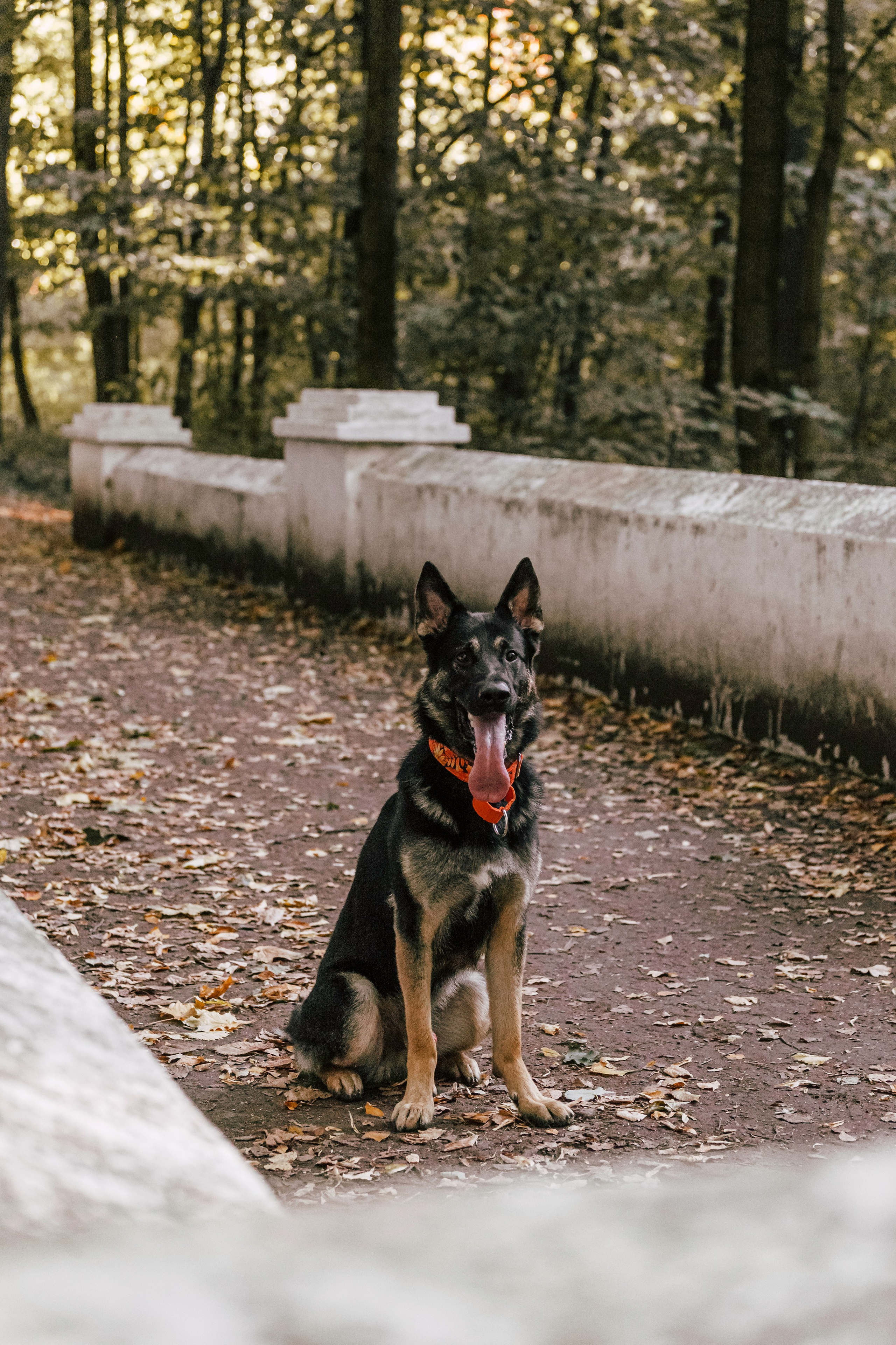 Илай. Фотограф-анималист Татьяна Степанова