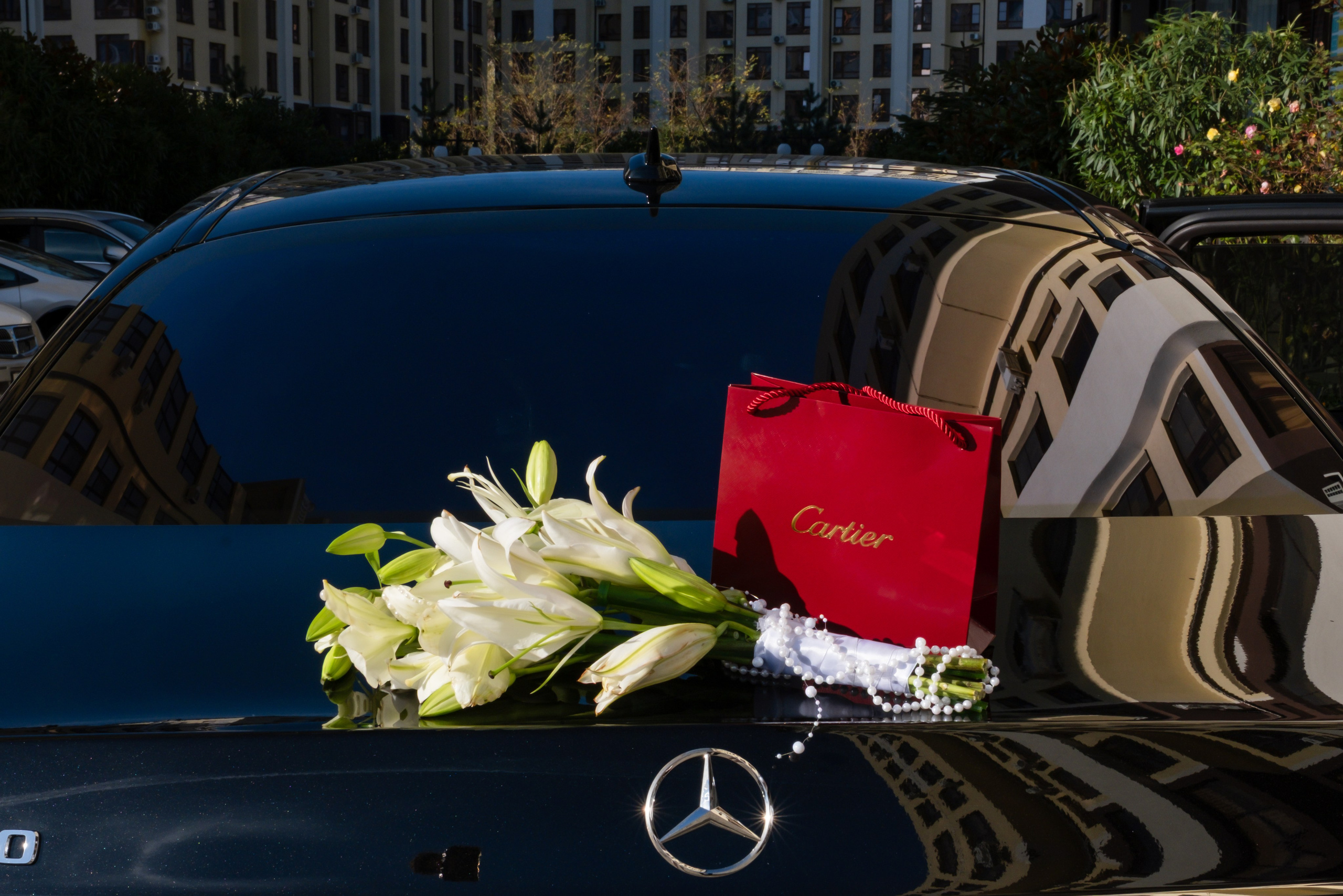 Сергей & Диана