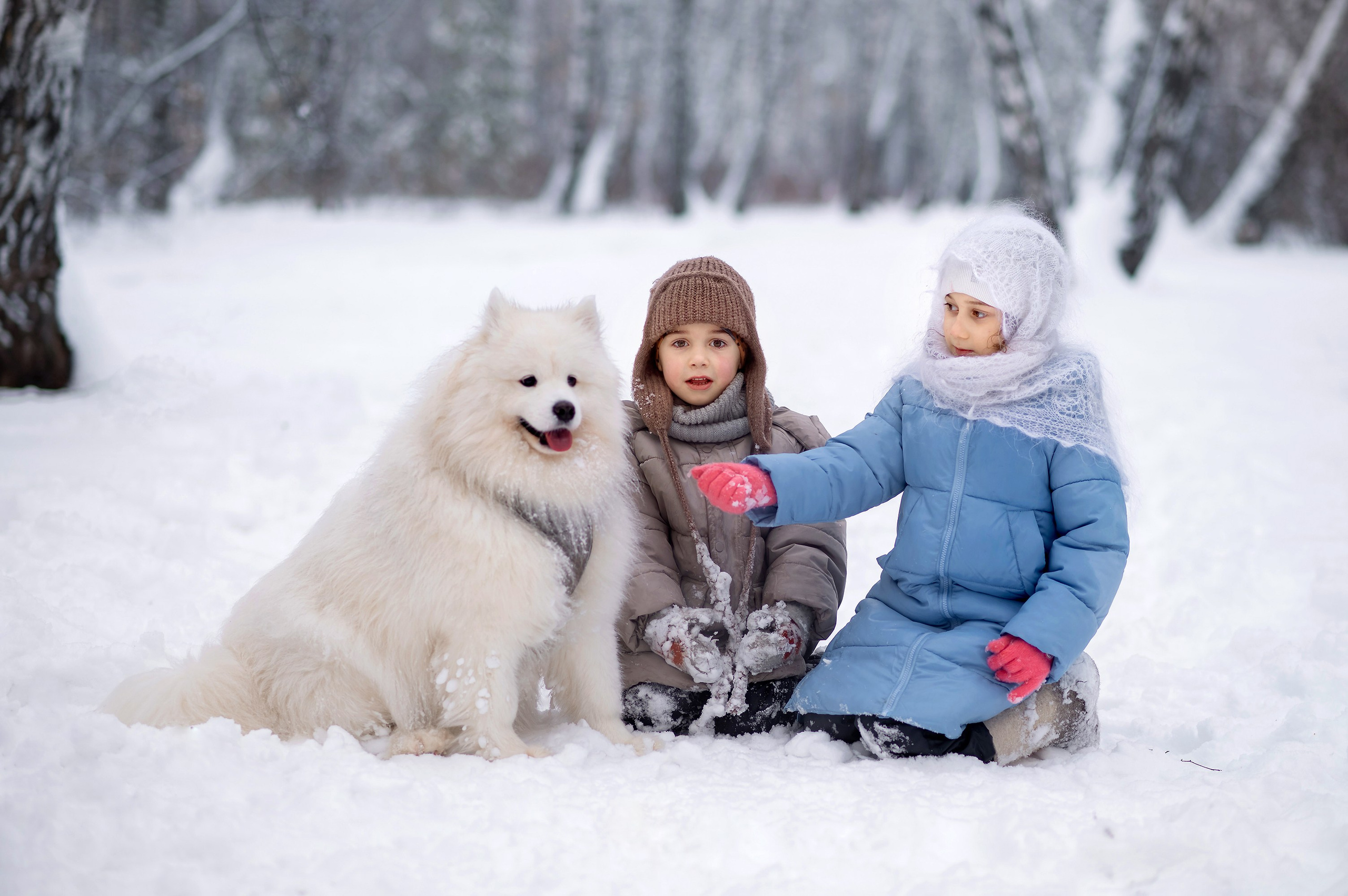 Семейные. Контакты