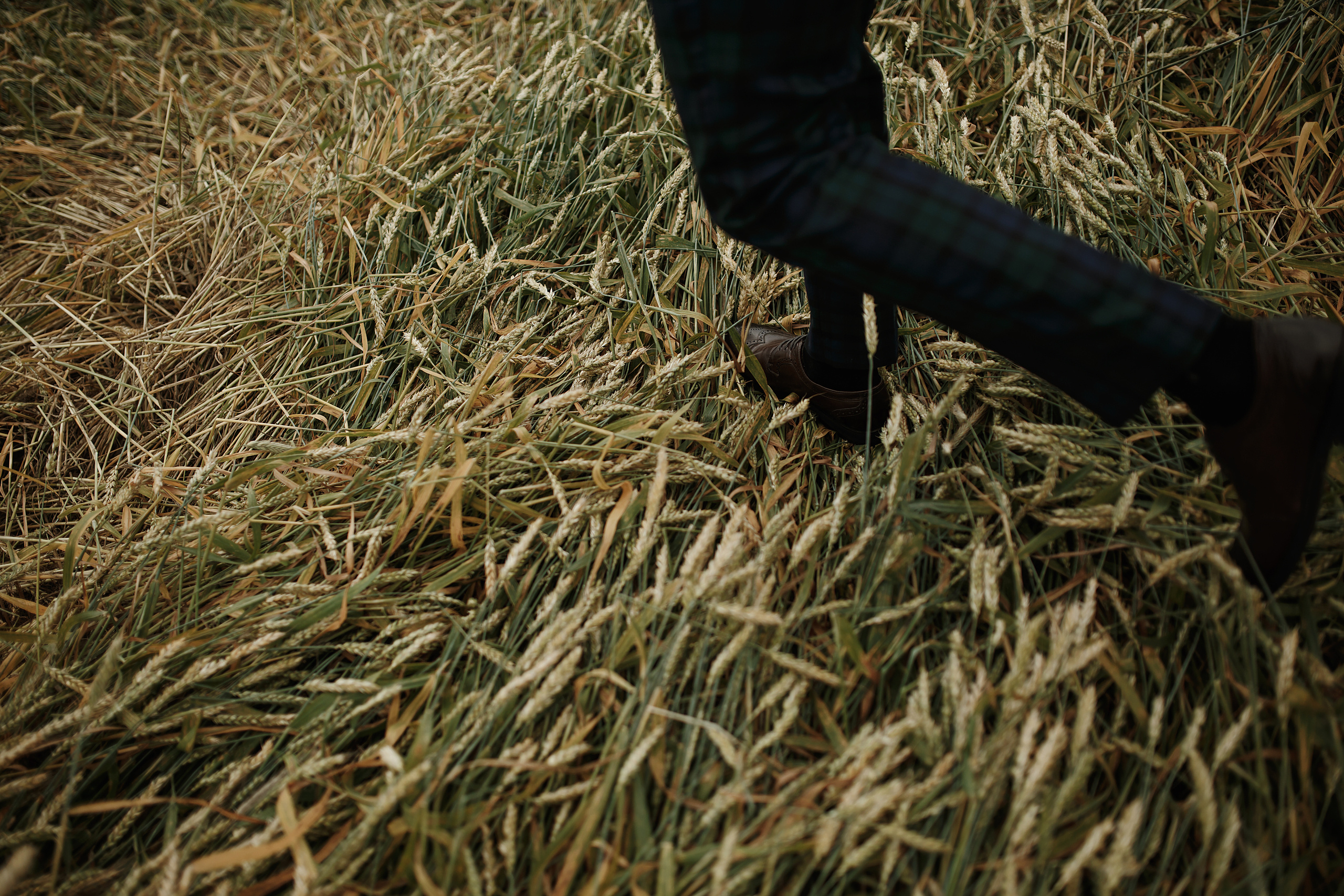 Wedding day Евгений и Екатерина. Свадебный фотограф Колесников Антон