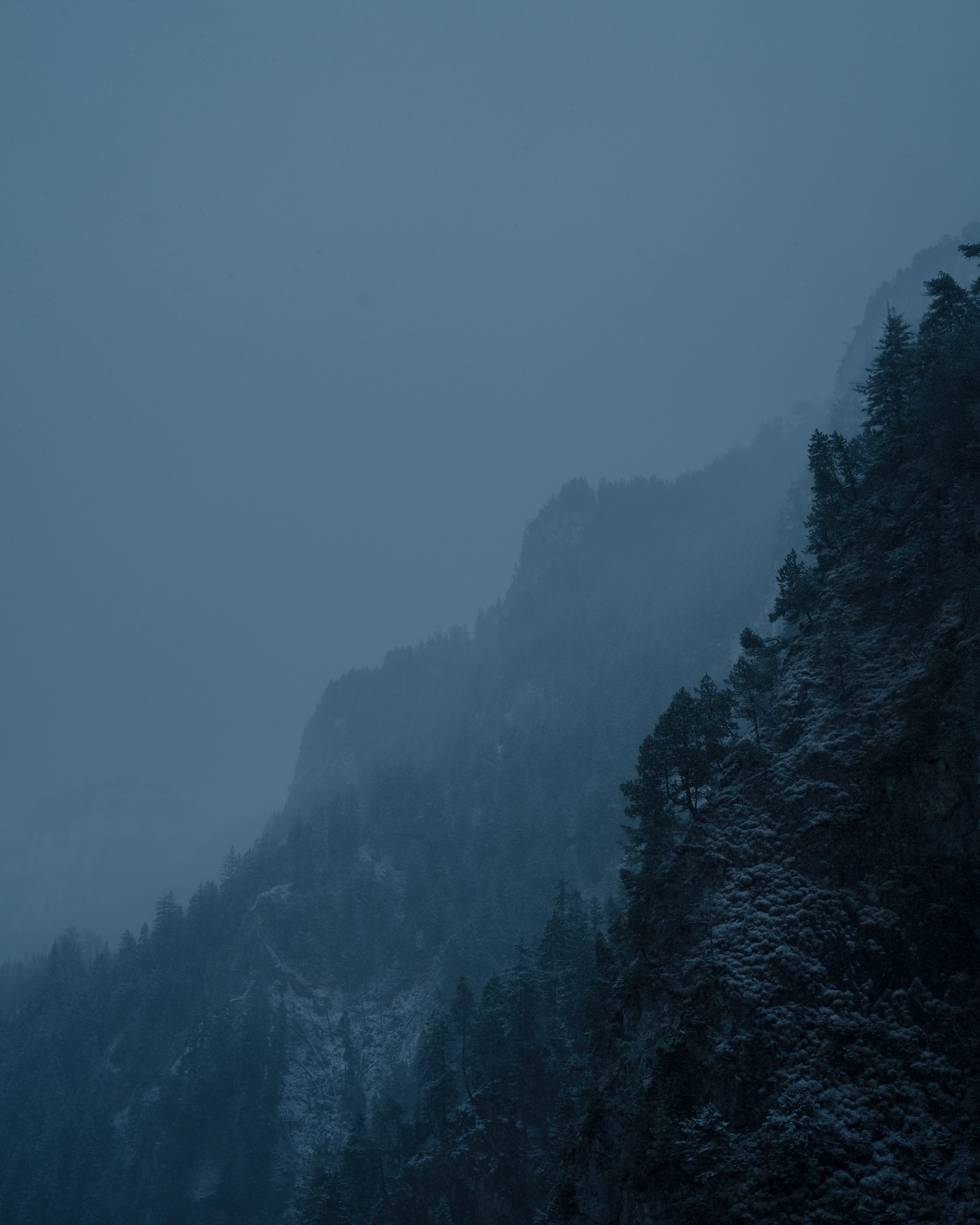 Германия. Фотограф Екатерина Катунова | Москва