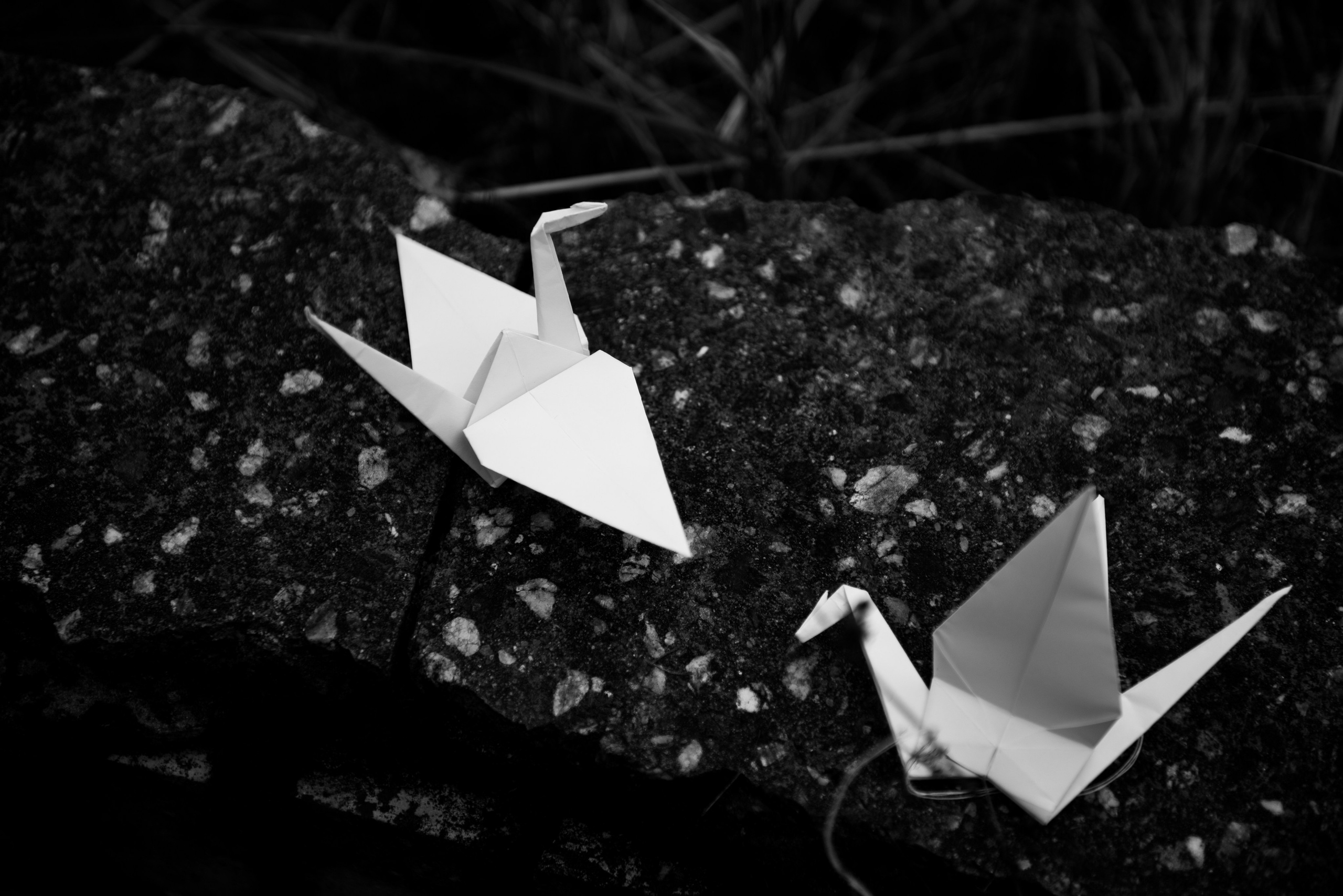 Ольга. Портретный и архитектурный фотограф в Москве и Санкт-Петербурге