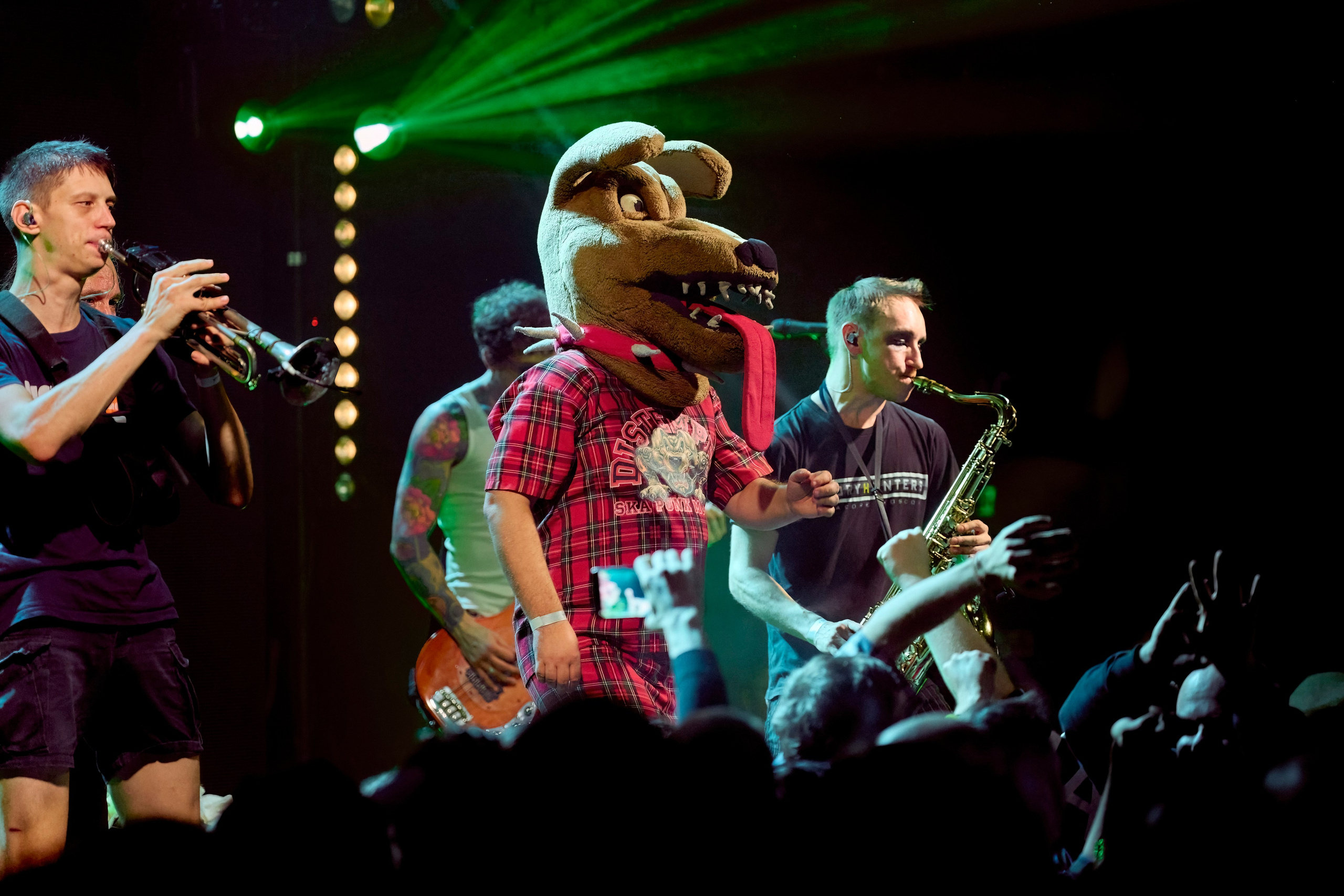 DISTEMPER / AGLOMERAT / 24.11.2023. Ekhovanov | фото- видеосъемка