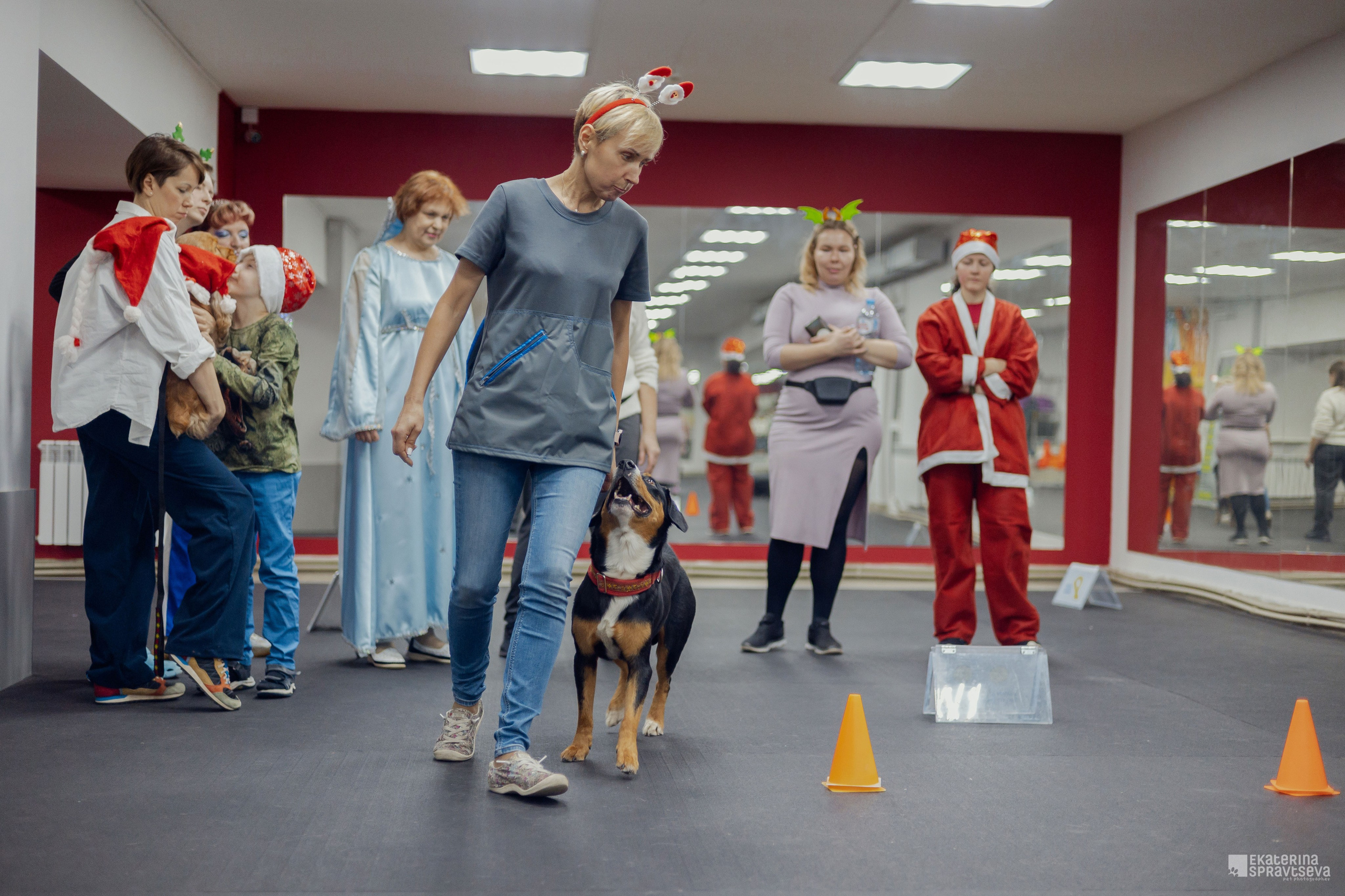 Новогодний Ралли-обидиенс. Фотограф Анималист Екатерина Справцева в Нижнем Новгороде