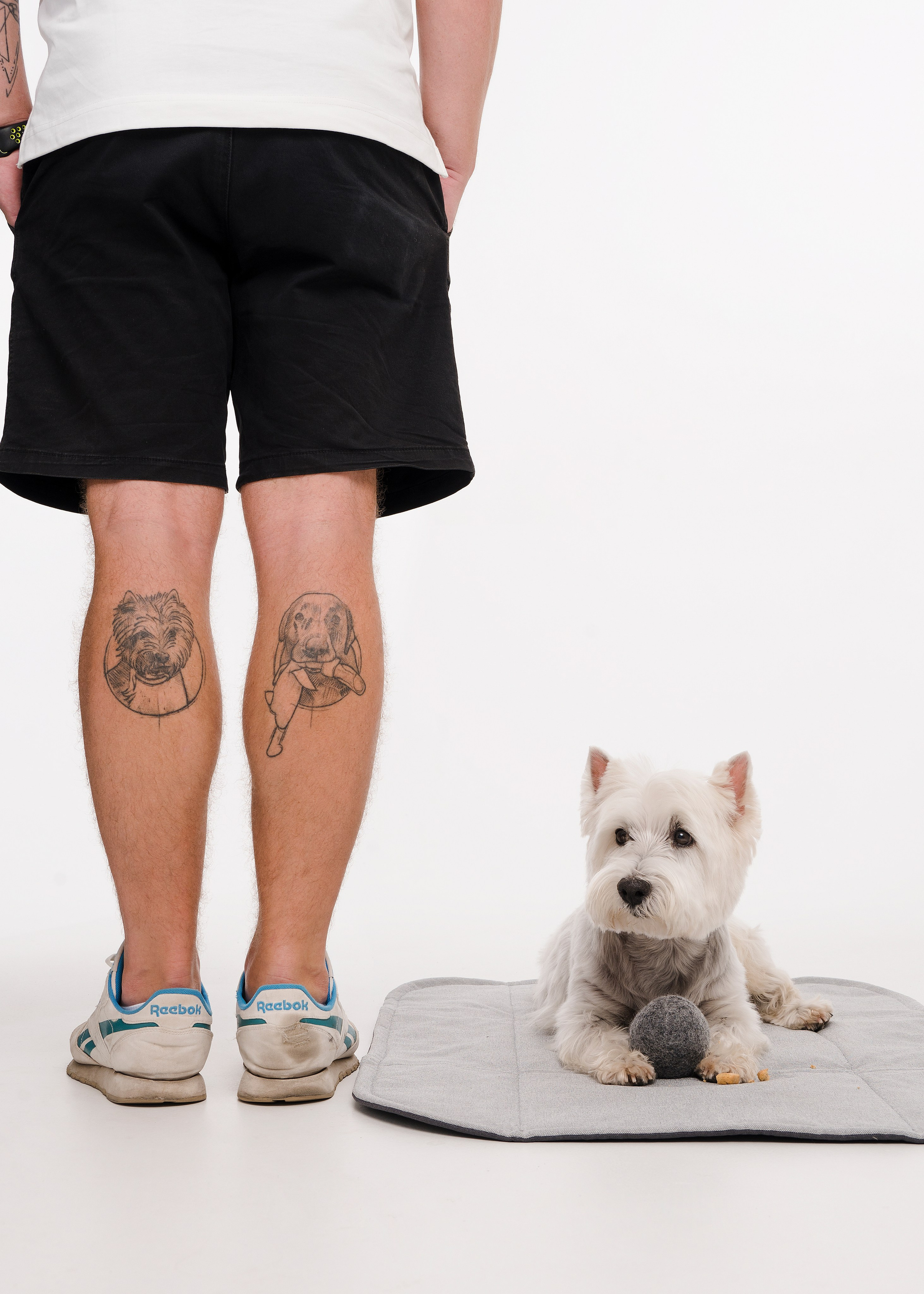 Bow-Wow. Фотограф- анималист Александра Матвеева