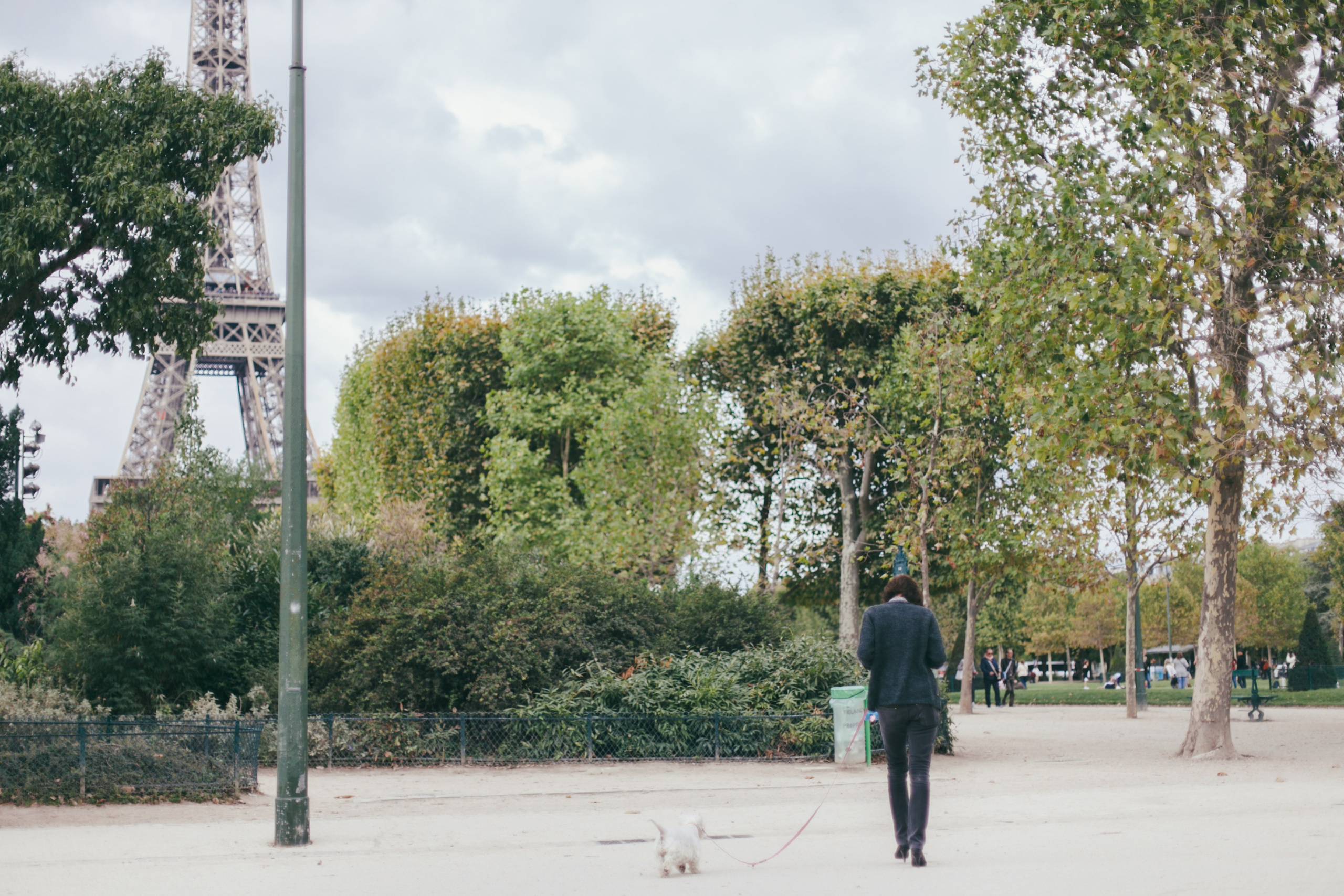 Париж. Аня Степанова