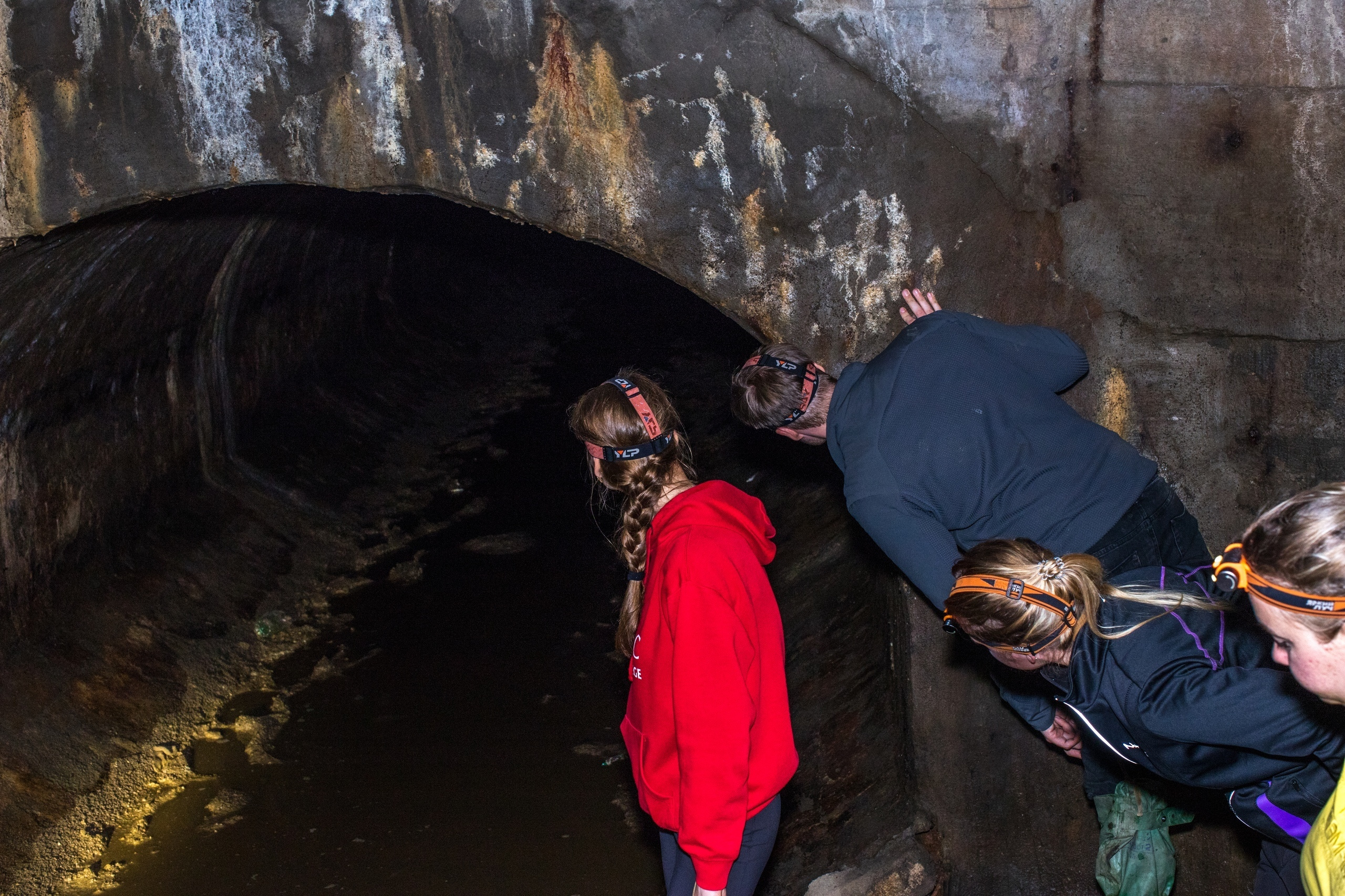 Репортажные мероприятия. Тархановский Павел Фото/Видео съёмка