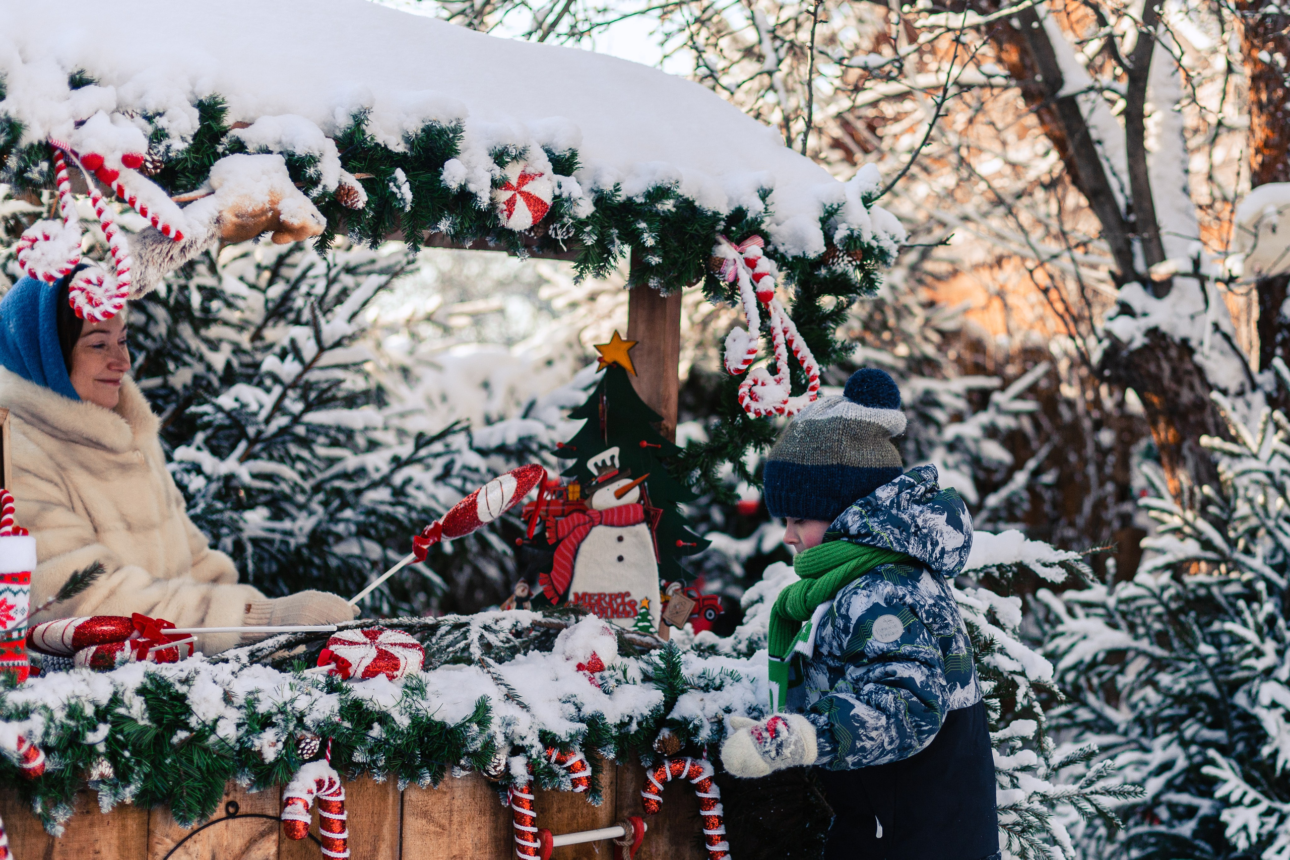 Зингер дача. Фотограф-анималист Татьяна Степанова