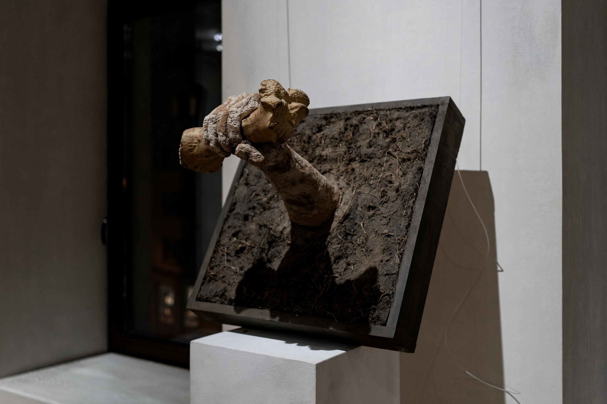 Выставки. Коммерческий фотограф в Санкт-Петербурге Ксения Максимова