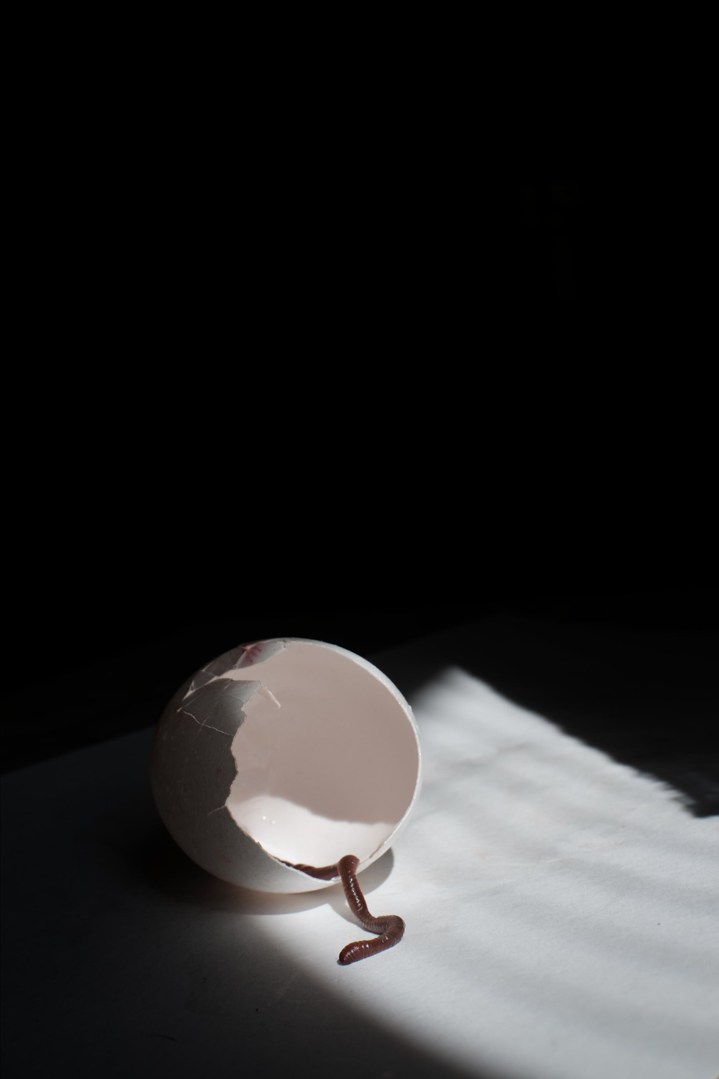 Not found. Lisa Mukhina